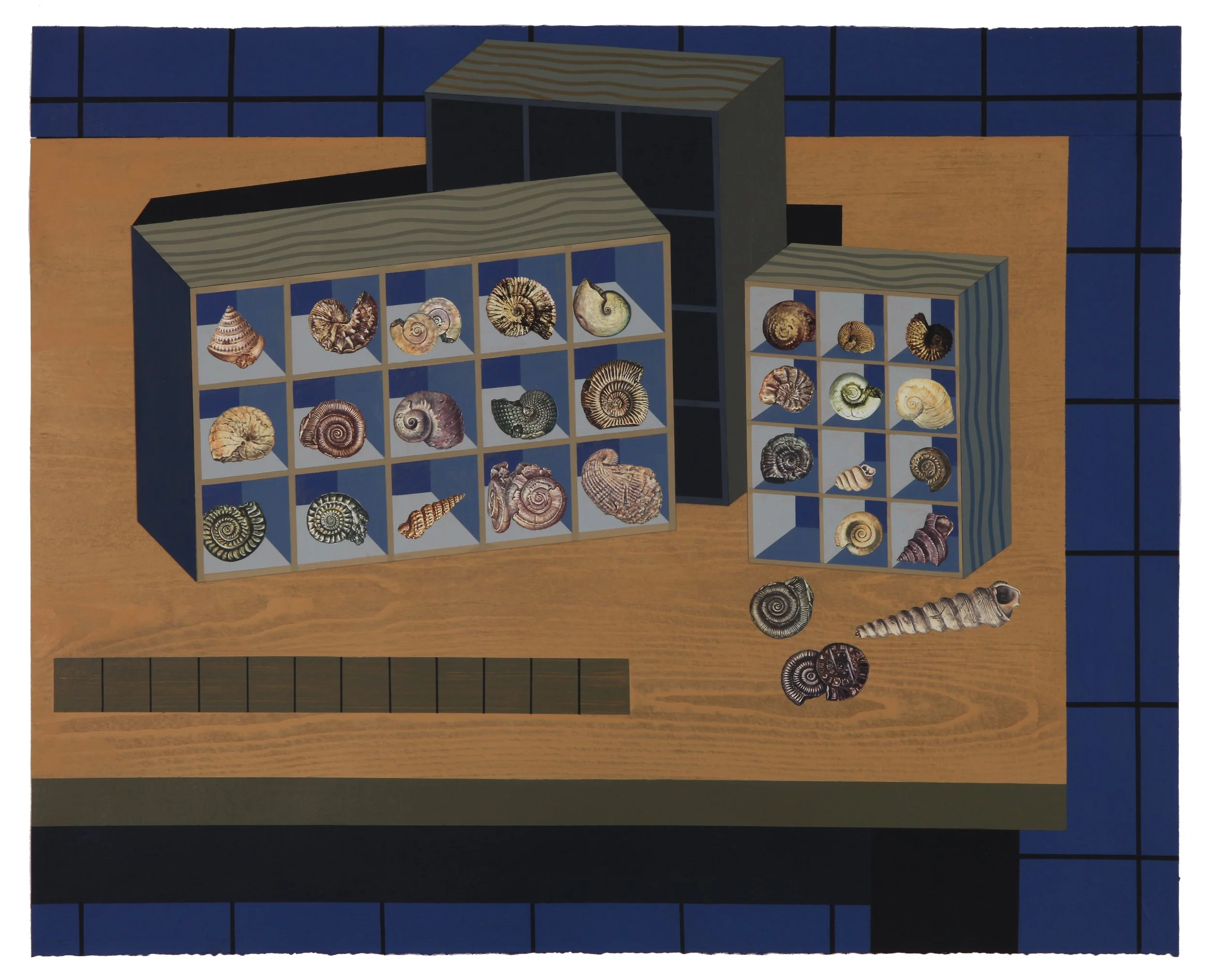 I'm delighted to have Fossil Collection chosen for The Open: Odyssey, at Hastings Contemporary 28 March - 31 May 2026