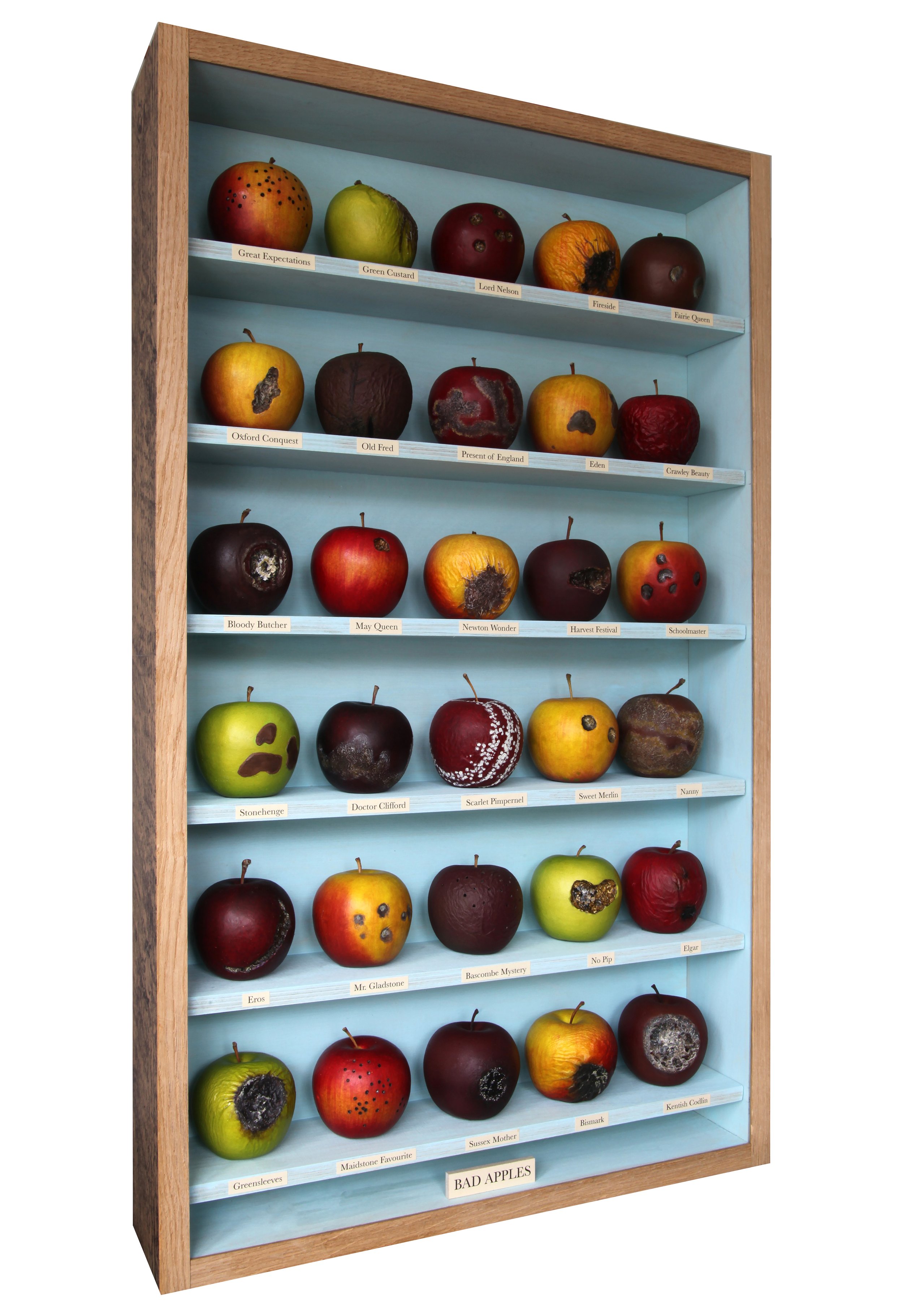 Bas Apples - 2010 80 x 40 cm.