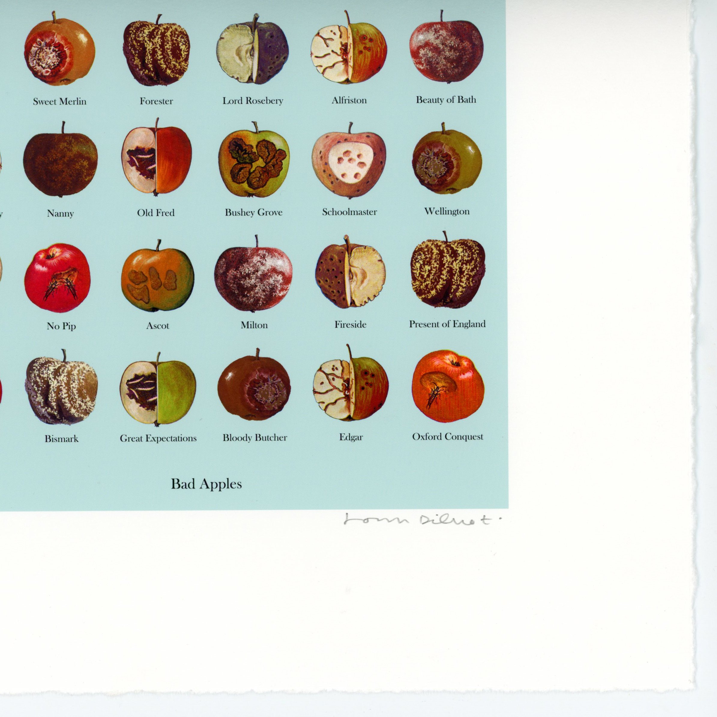 bad apples2006-detail2.jpg