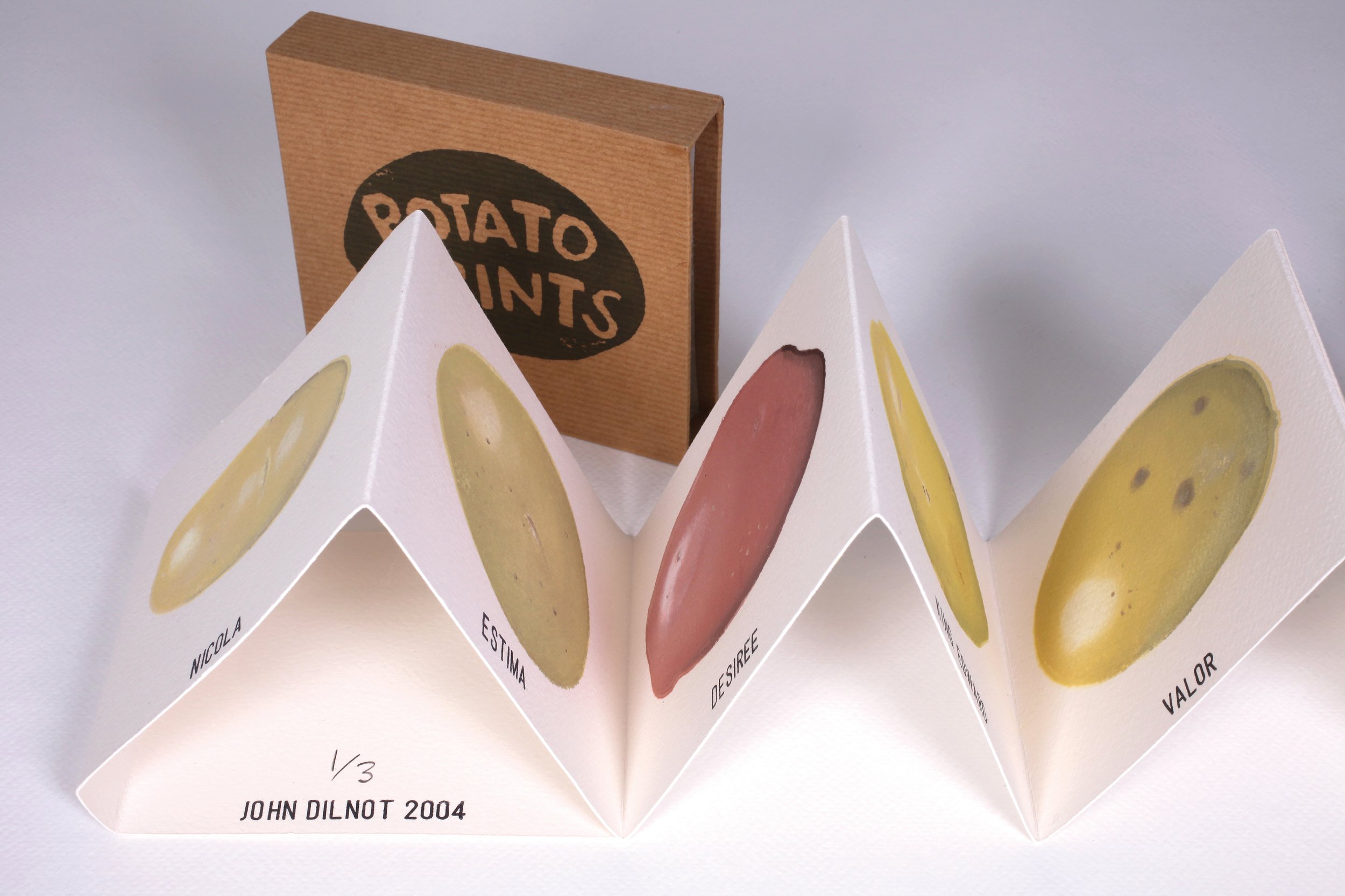 Potato Prints
2004 -
Hand printed with potatoes. Potato prints are
traditionally made by cutting a potato in half and
then cutting a design into the cut surface which is
inked u