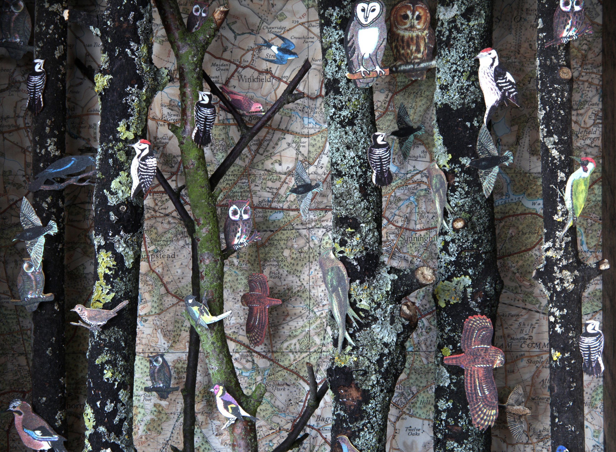 Edge of the Forest - detail