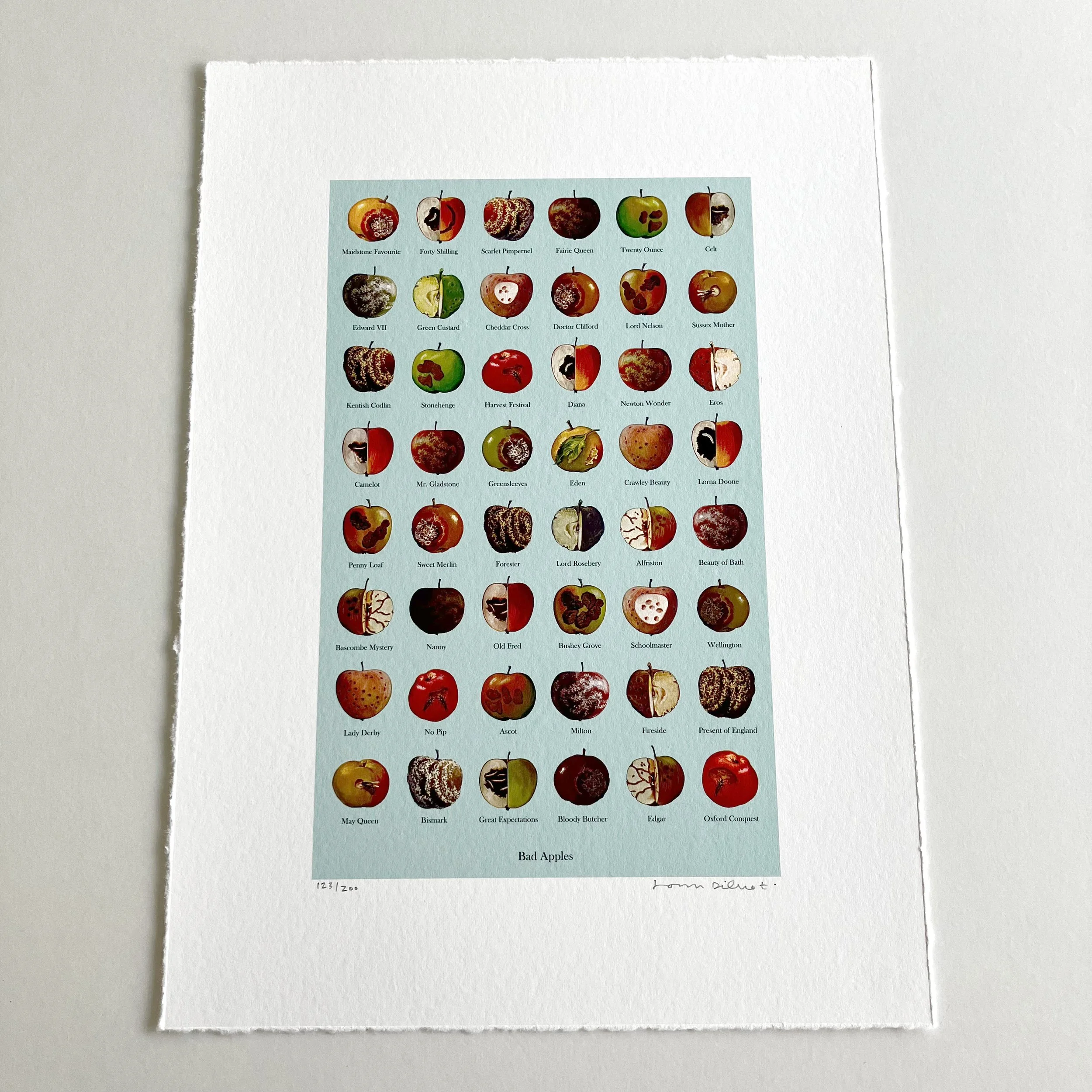 bad apples2006-wholesq.jpg