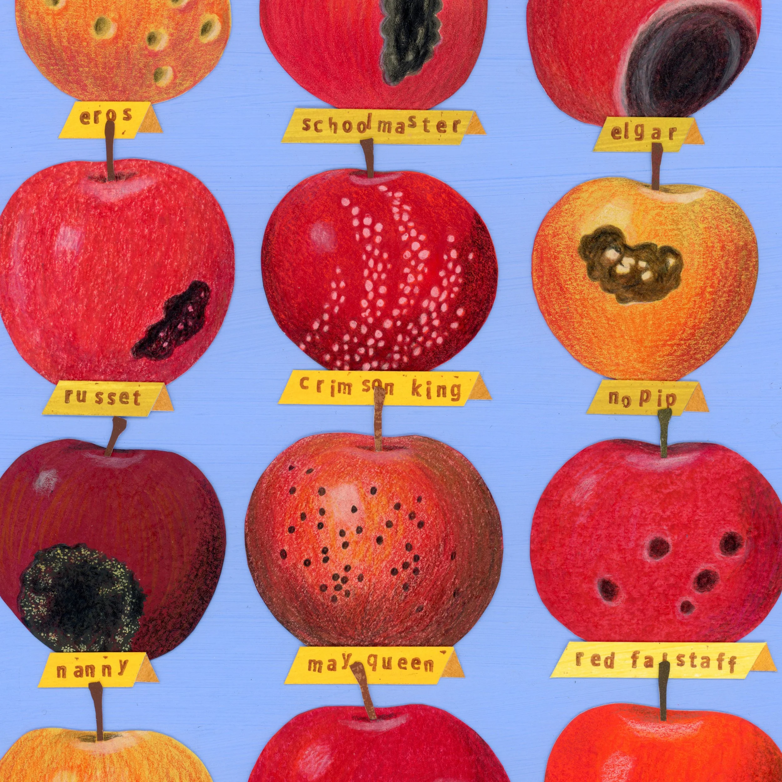 bad apples small-2026 sqdetail.jpg