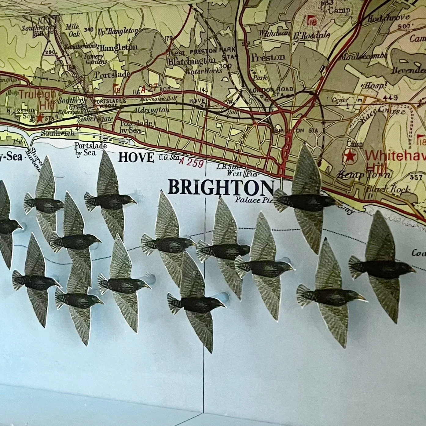 murmuration 2026 detail.jpg