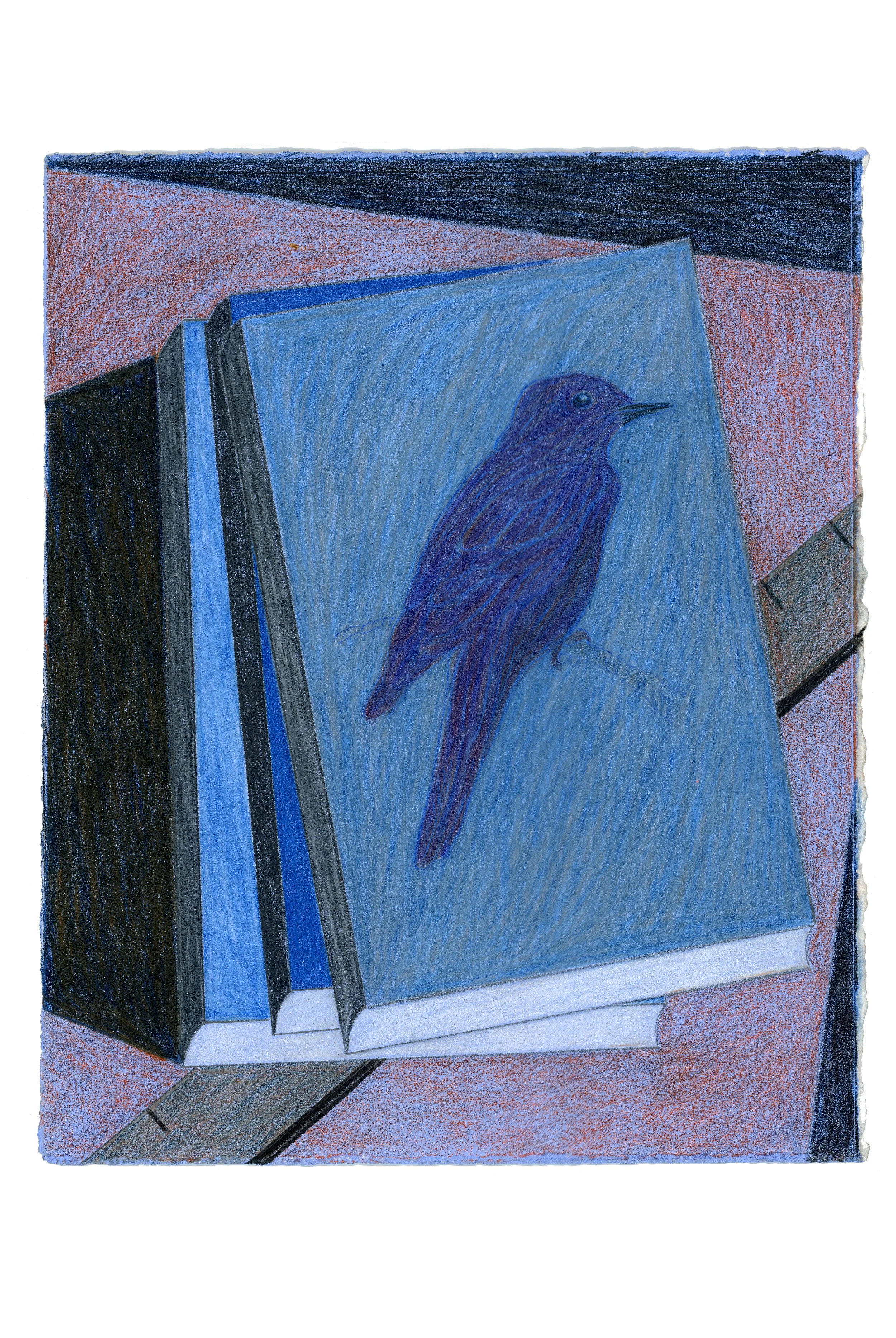 Bird Books 2026 287x235mm. colour pencils, graphite and acrylic on paper. Private Collection