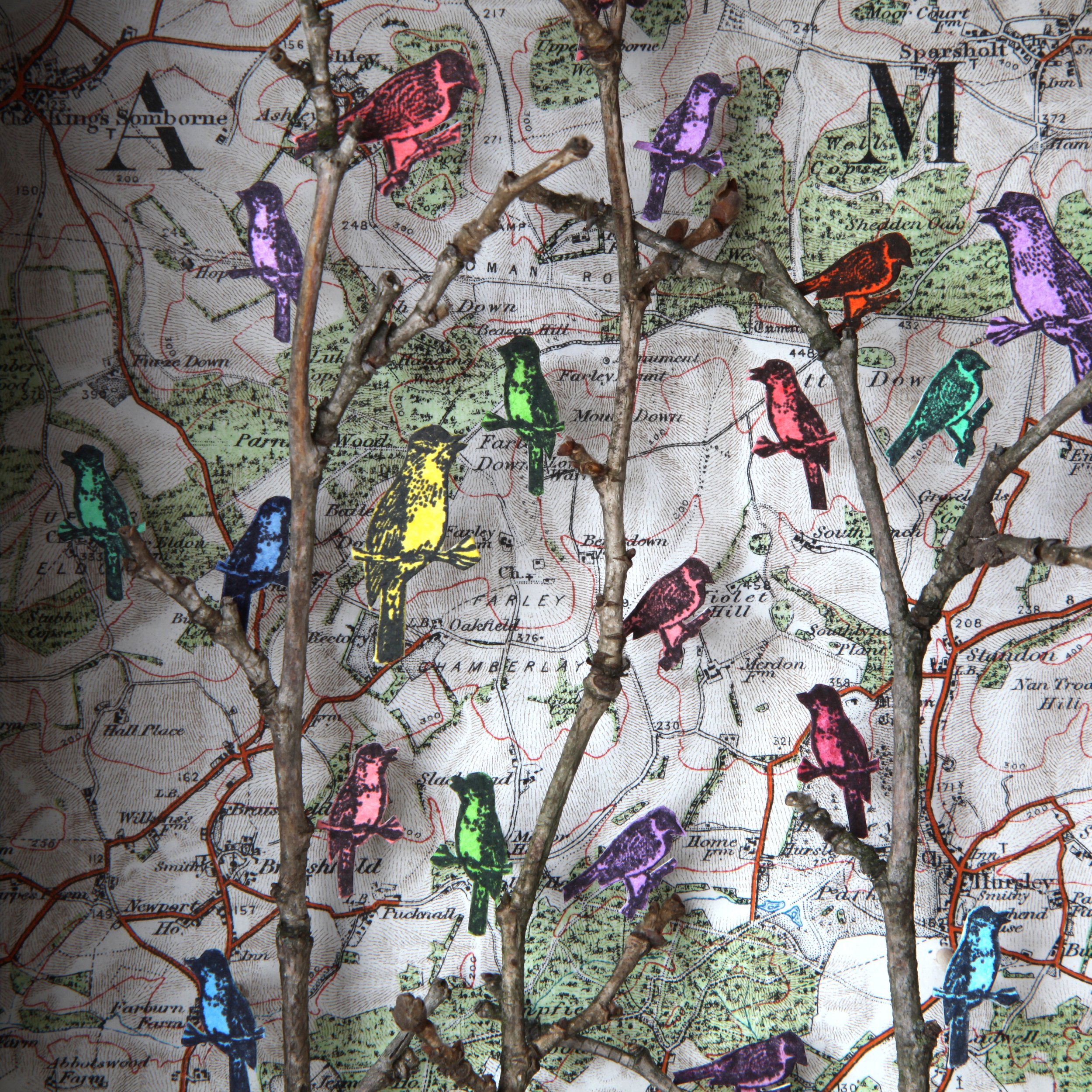 Little Birds - Detail