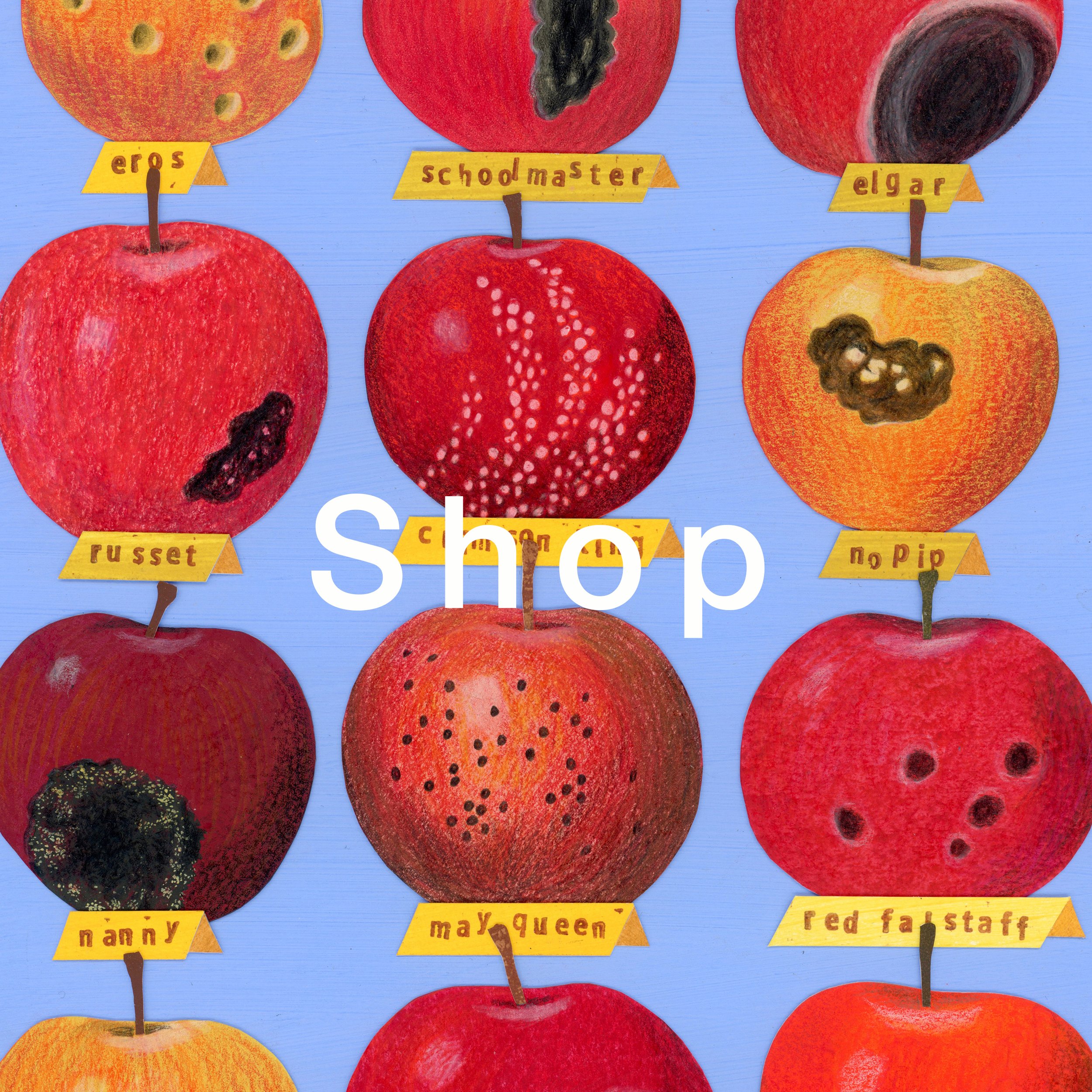 shop2.jpg