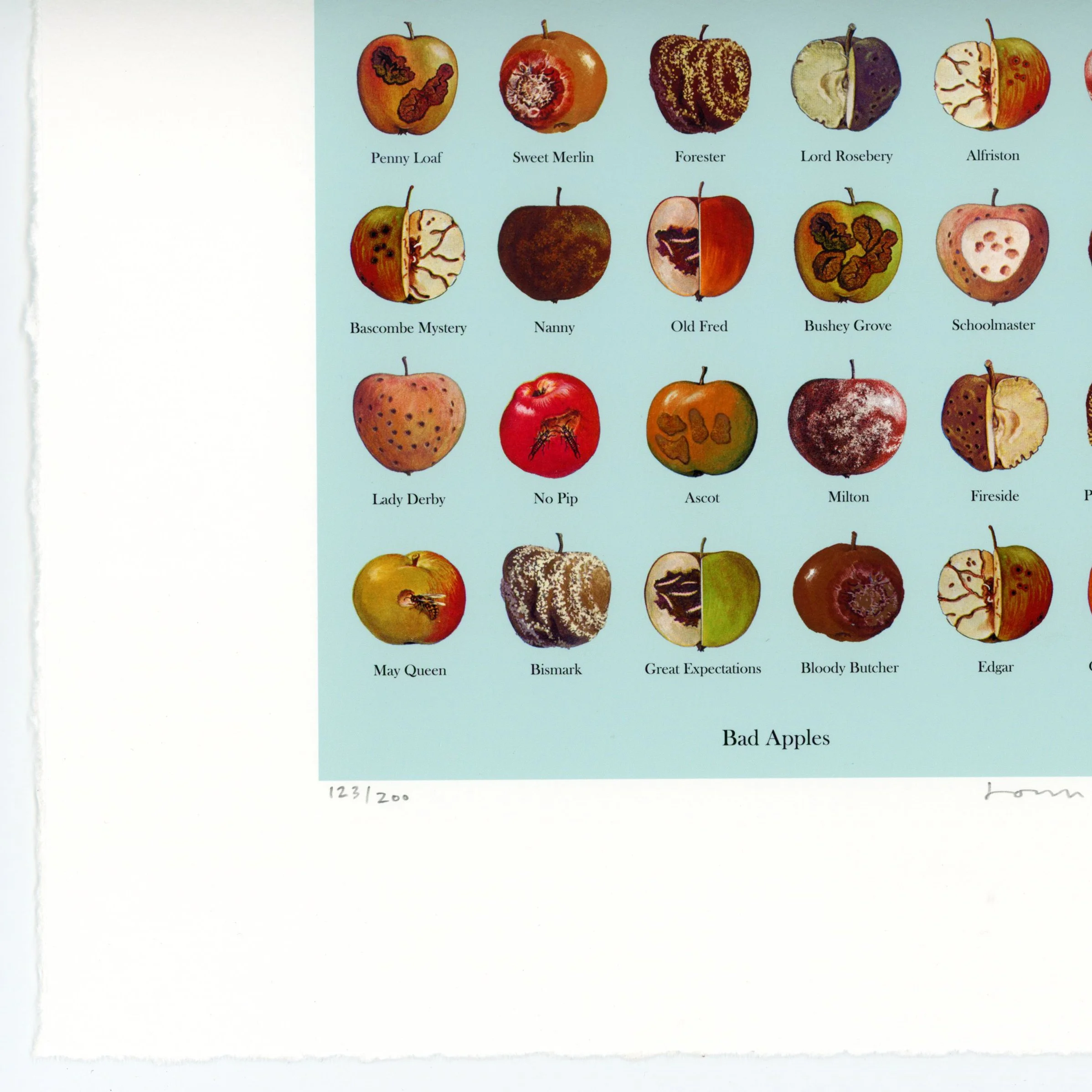 bad apples2006-detail1.jpg