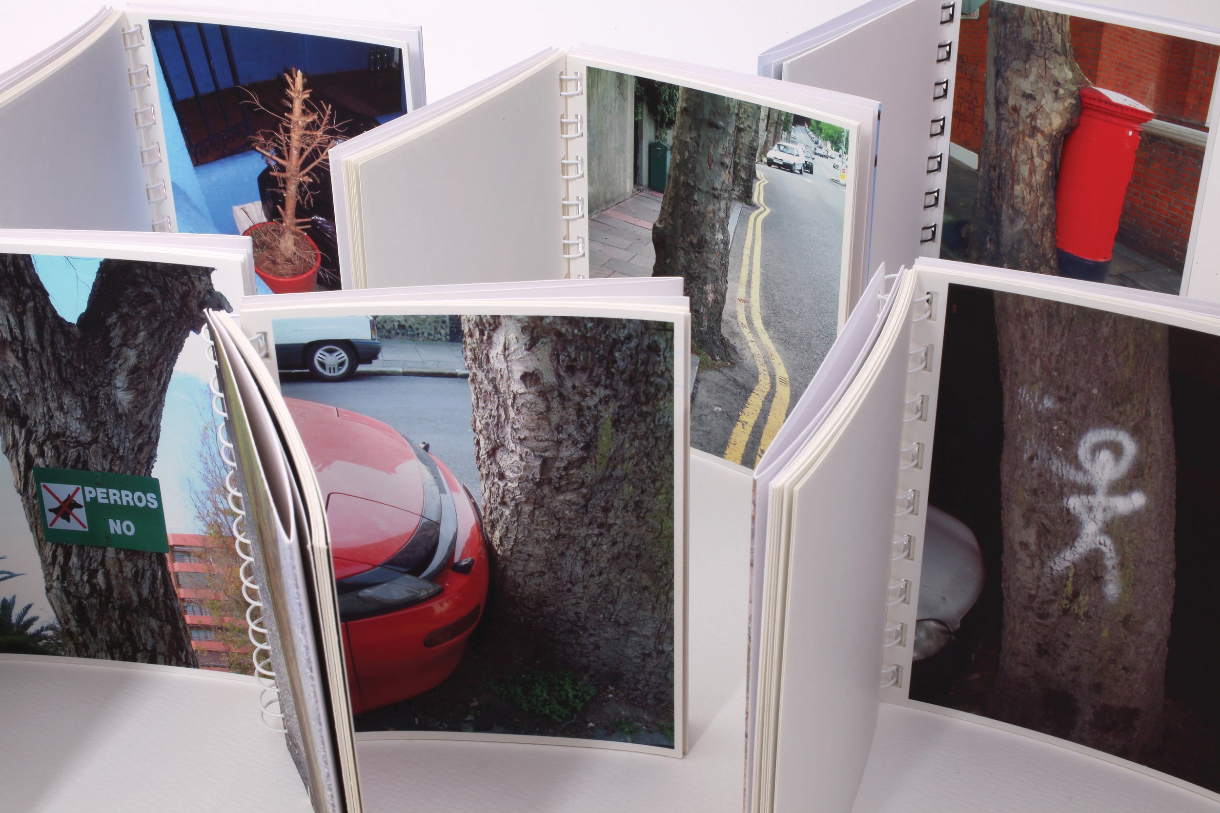 Urban Tree Series -Whilst I was studying painting at Camberwell in the
early 1980s, I noticed near to where I was living a
tree trunk in the front garden of a terrace house.
The trunk had a neat little white picket fence placed
around it which, beca