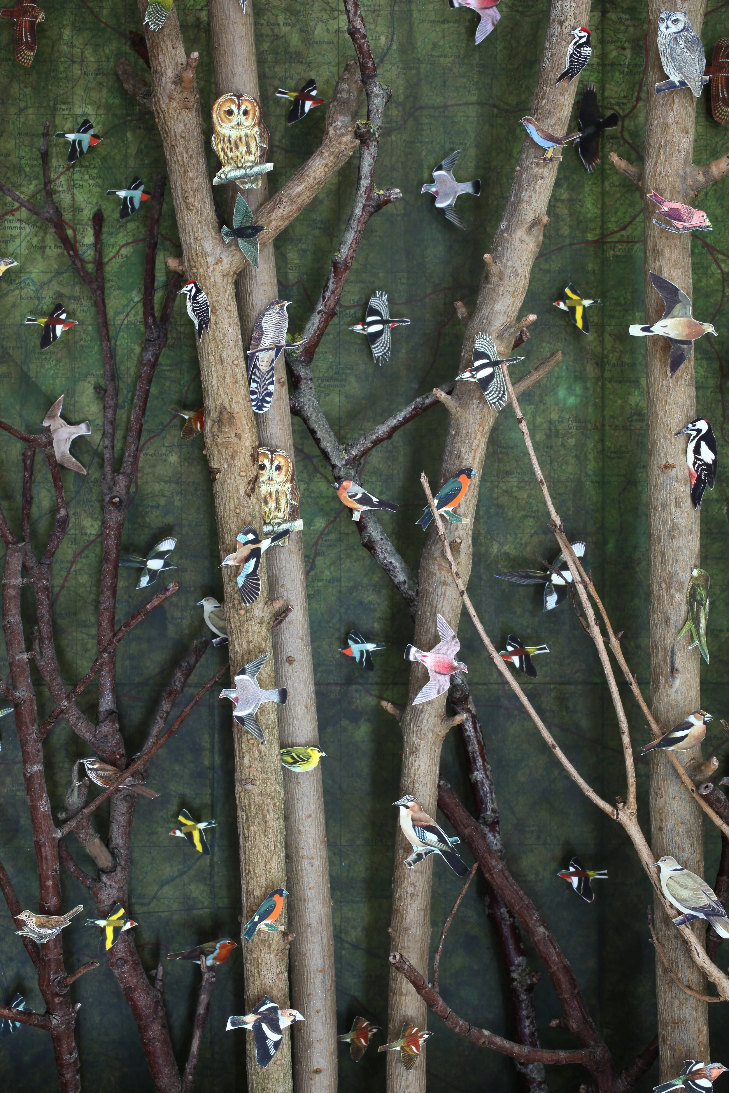 The Old Forest 2026  detail