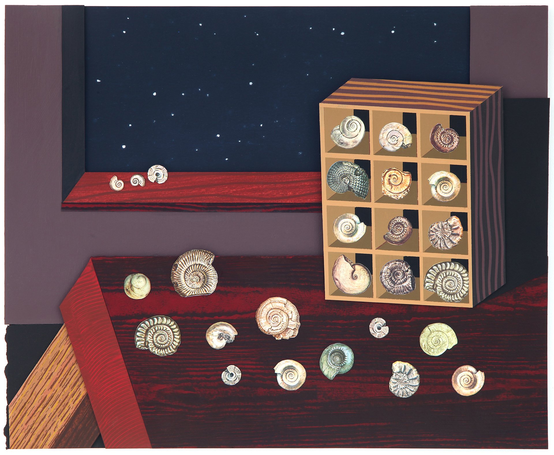 Fossil Collection 2024