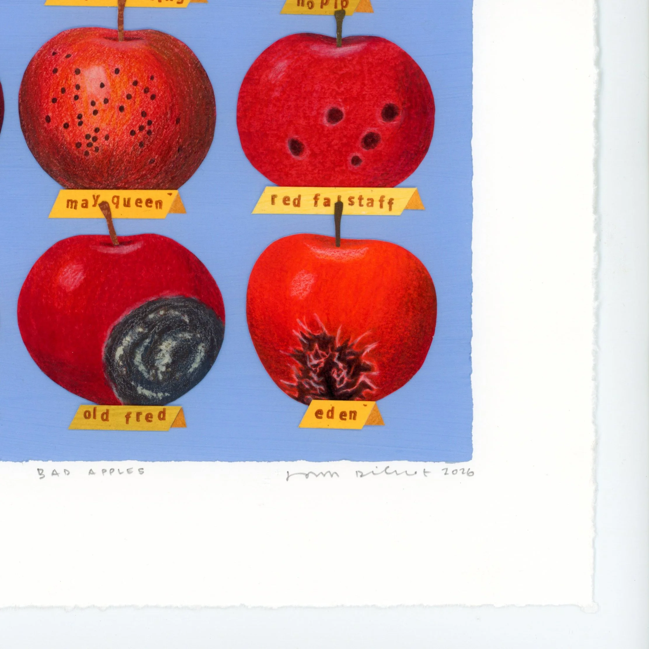 Bad Apples-detail1.jpg