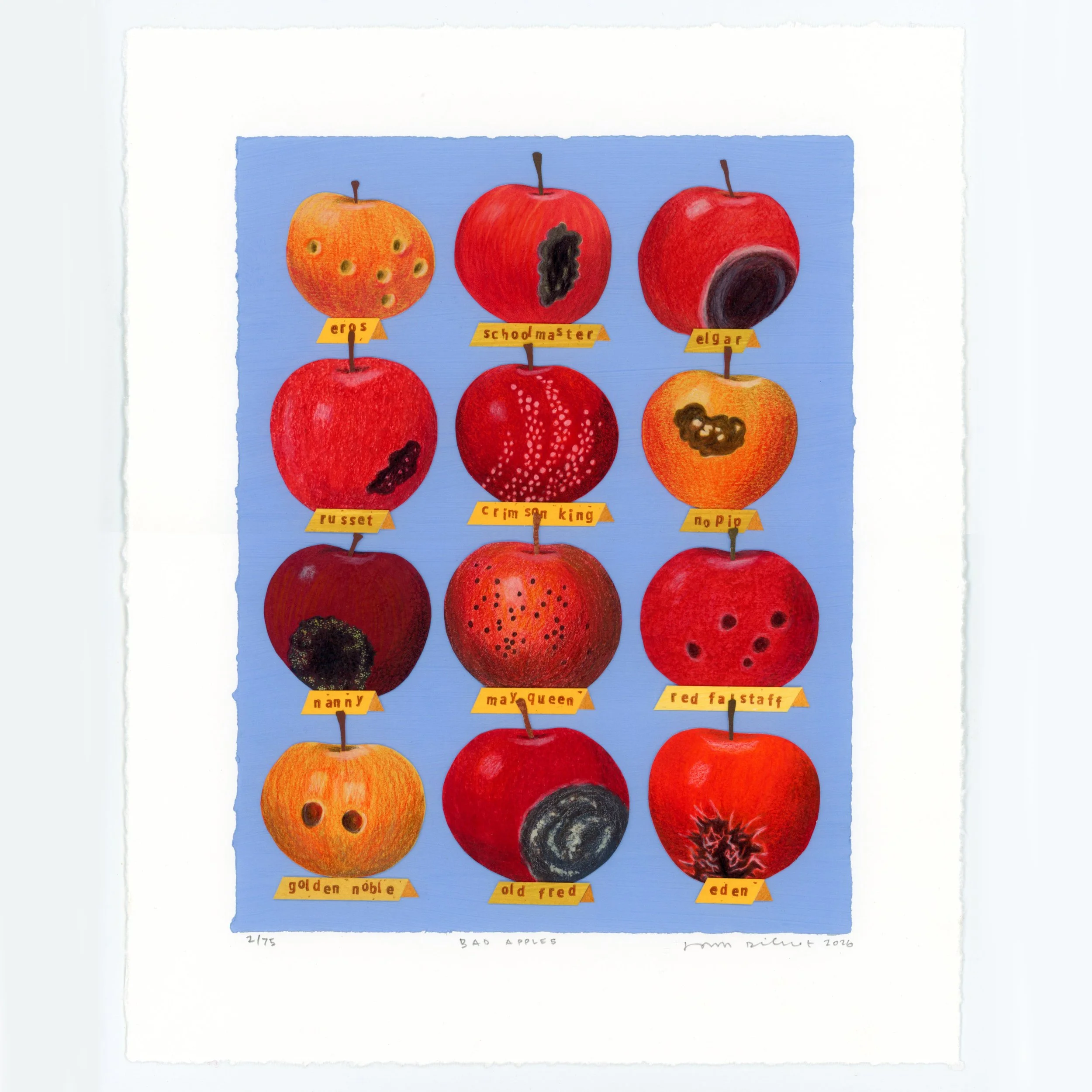 Bad apples -wholeSQ.jpg