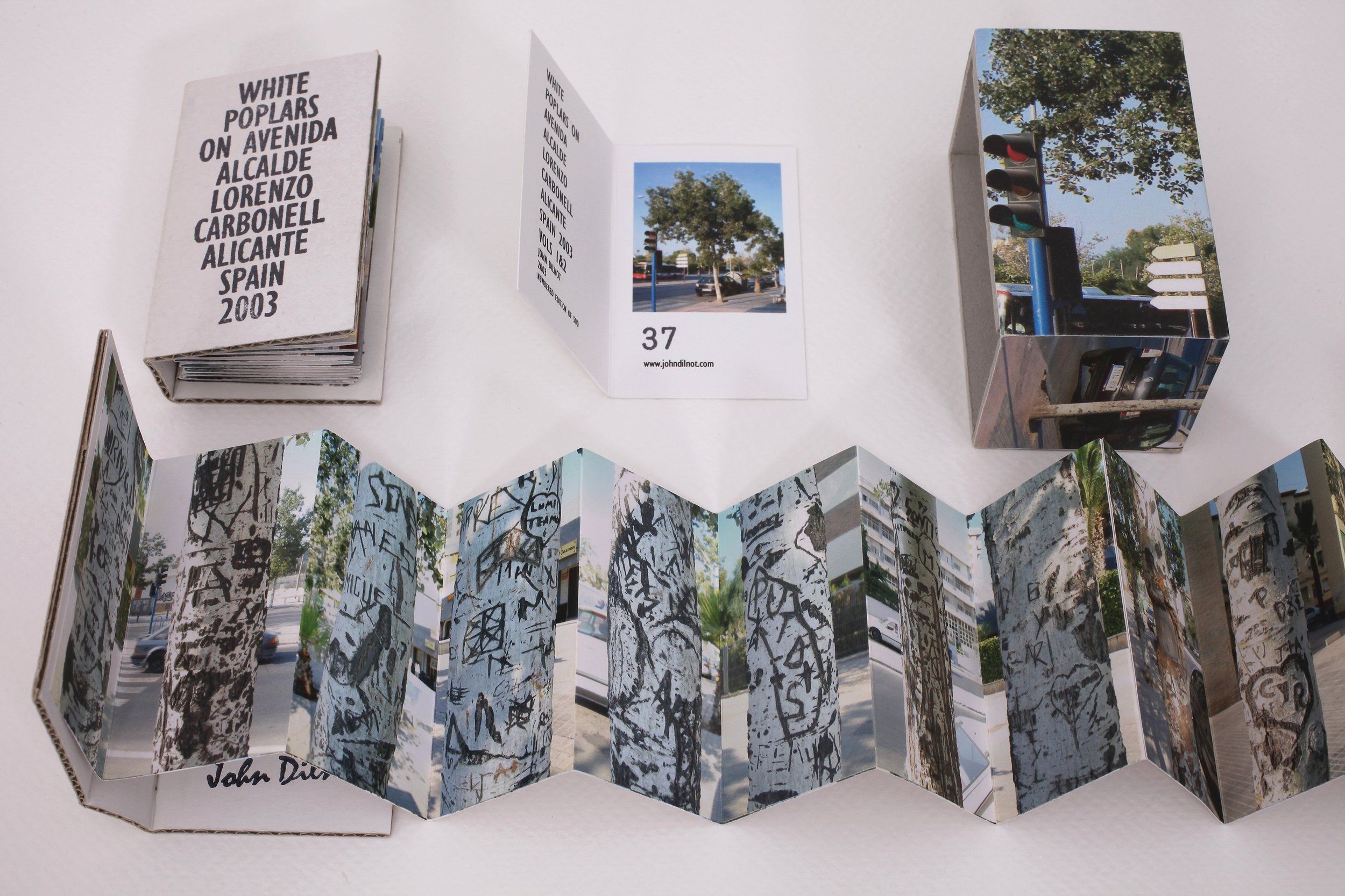 White Poplars was an idea that came from regularly
walking this street in Alicante.
It is a very busy avenue with blocks of flats, a
school and several other other public buildings all
set behind a continuous row of white poplars down
the length of