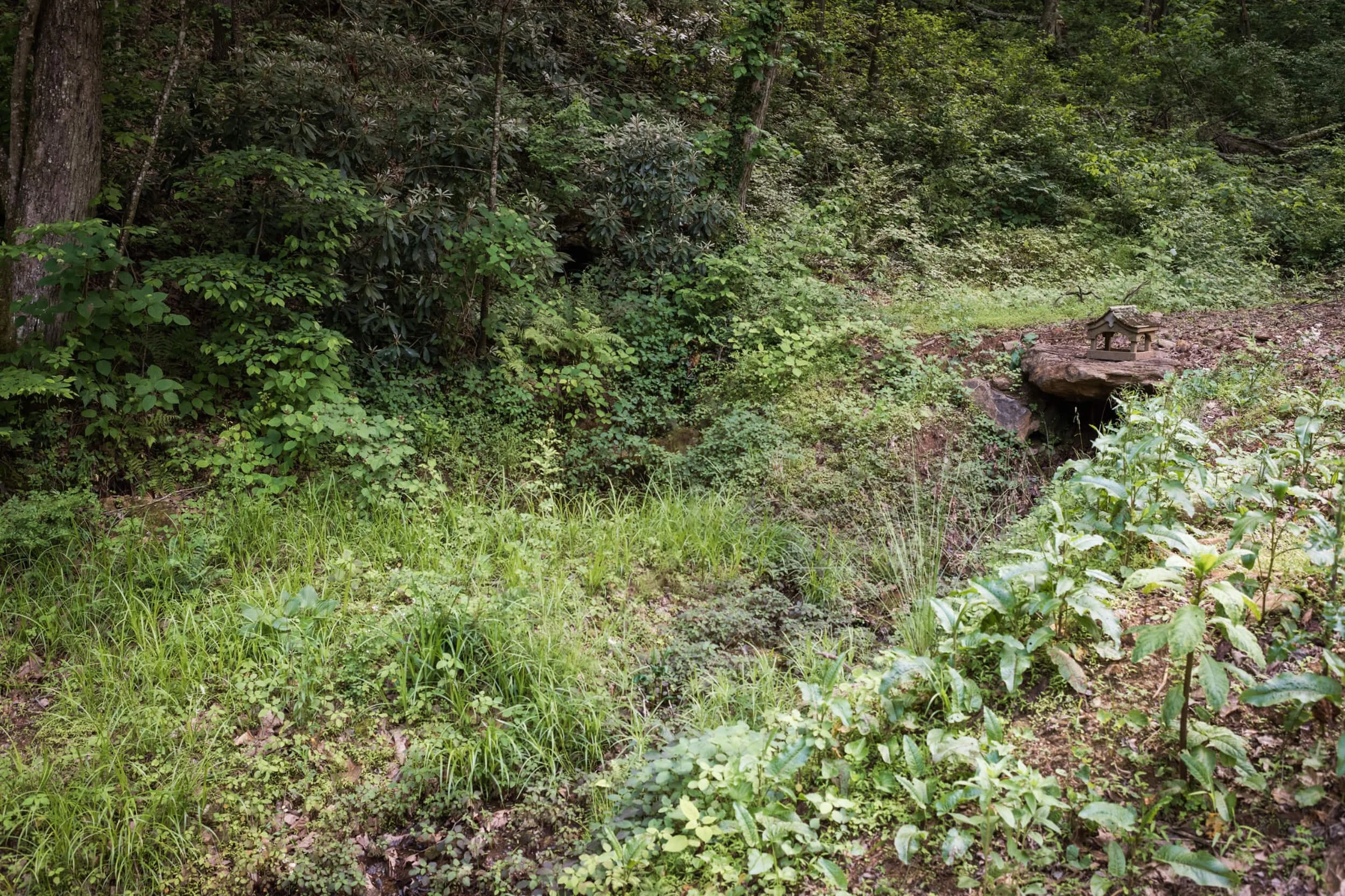 RestoreHous_ChelseaLanePhotography-70.jpg