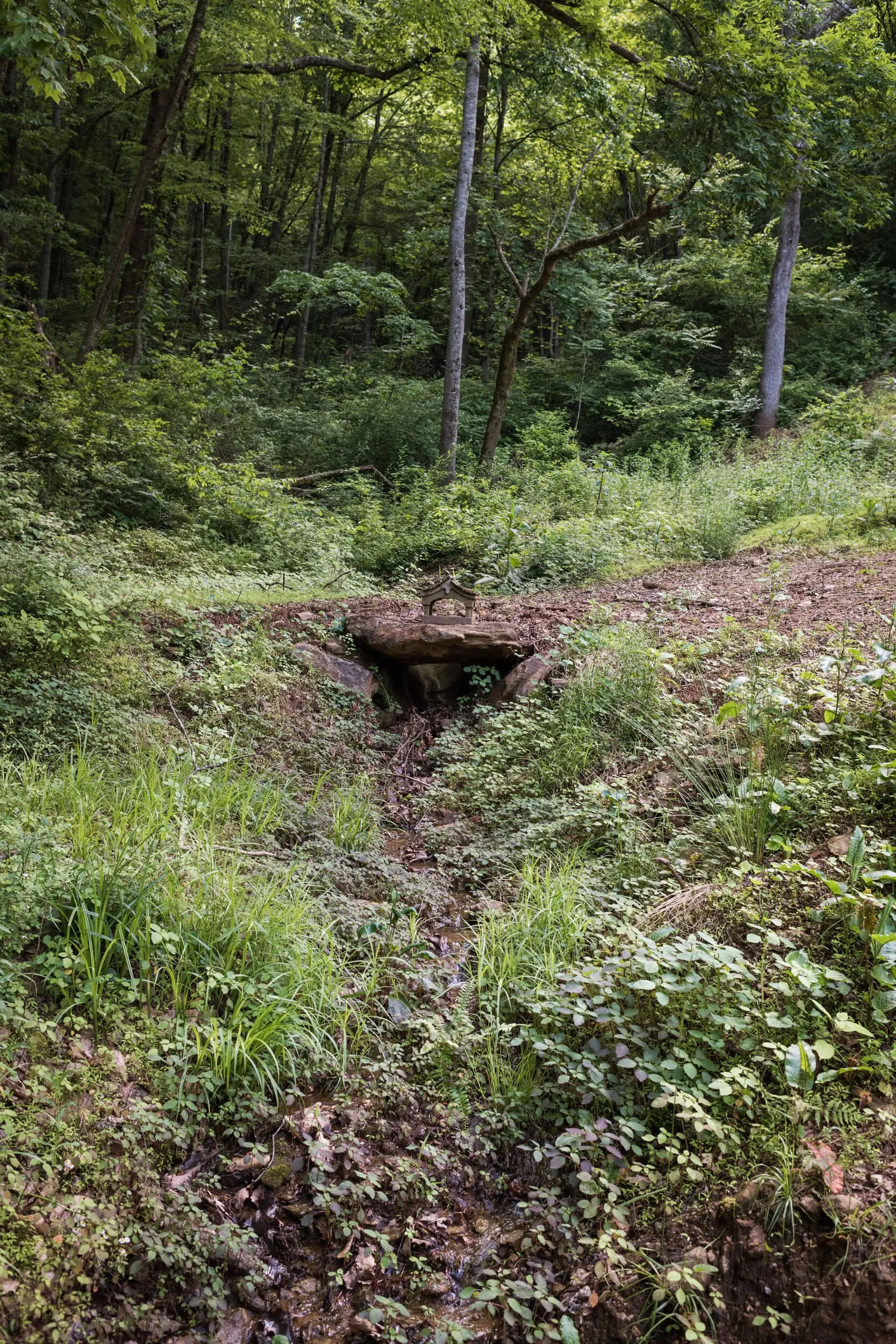 RestoreHous_ChelseaLanePhotography-69.jpg