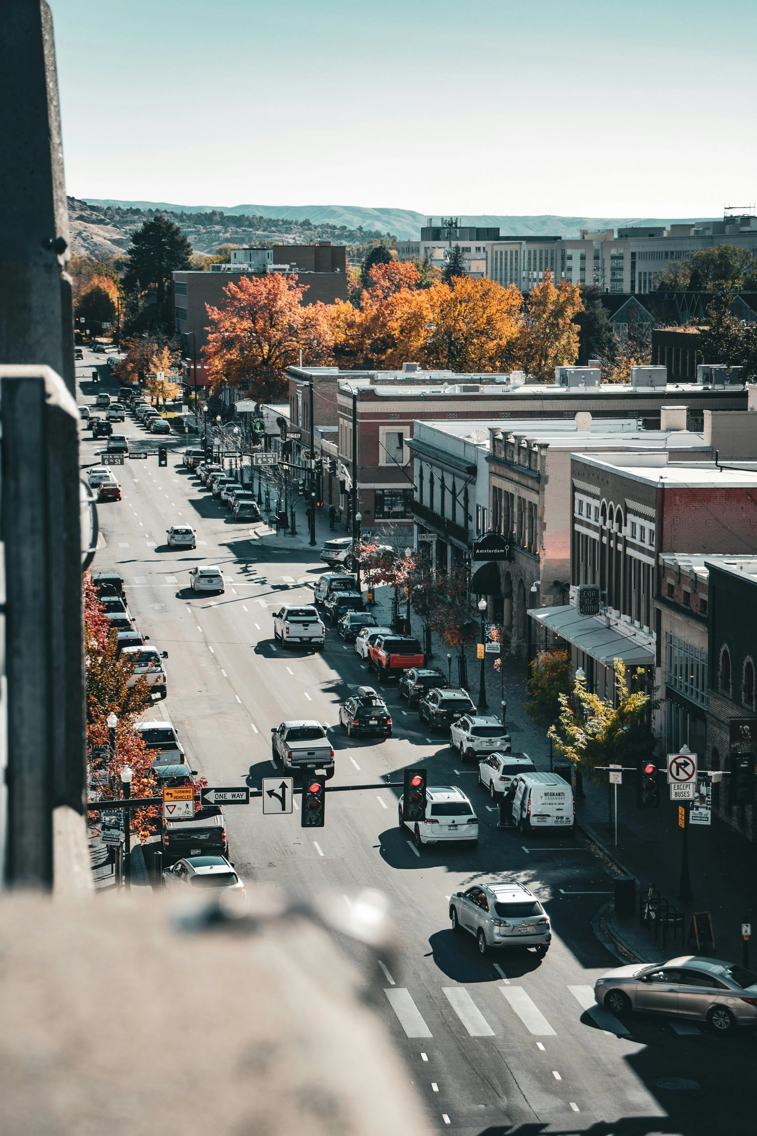 alexandra-gold-j0rh3FioGFI-unsplash.jpg