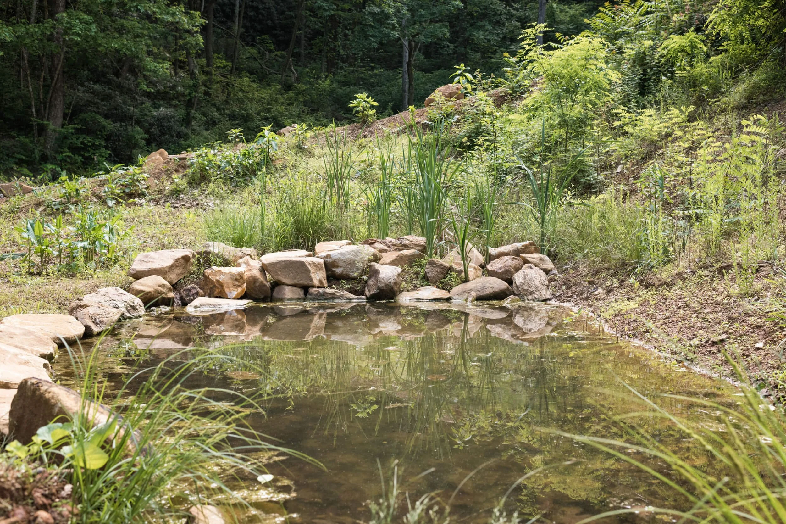 RestoreHous_ChelseaLanePhotography-72.jpg