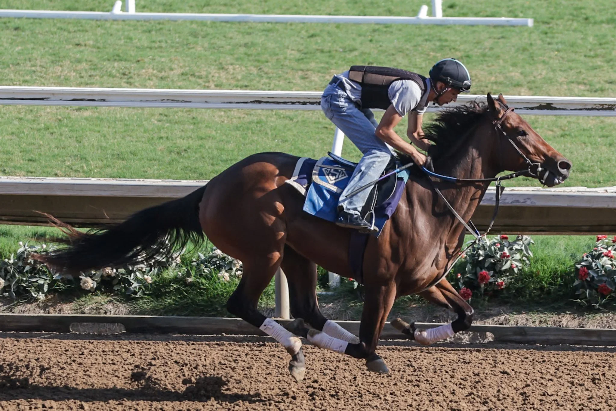 Velvet lilly 9-6.jpeg