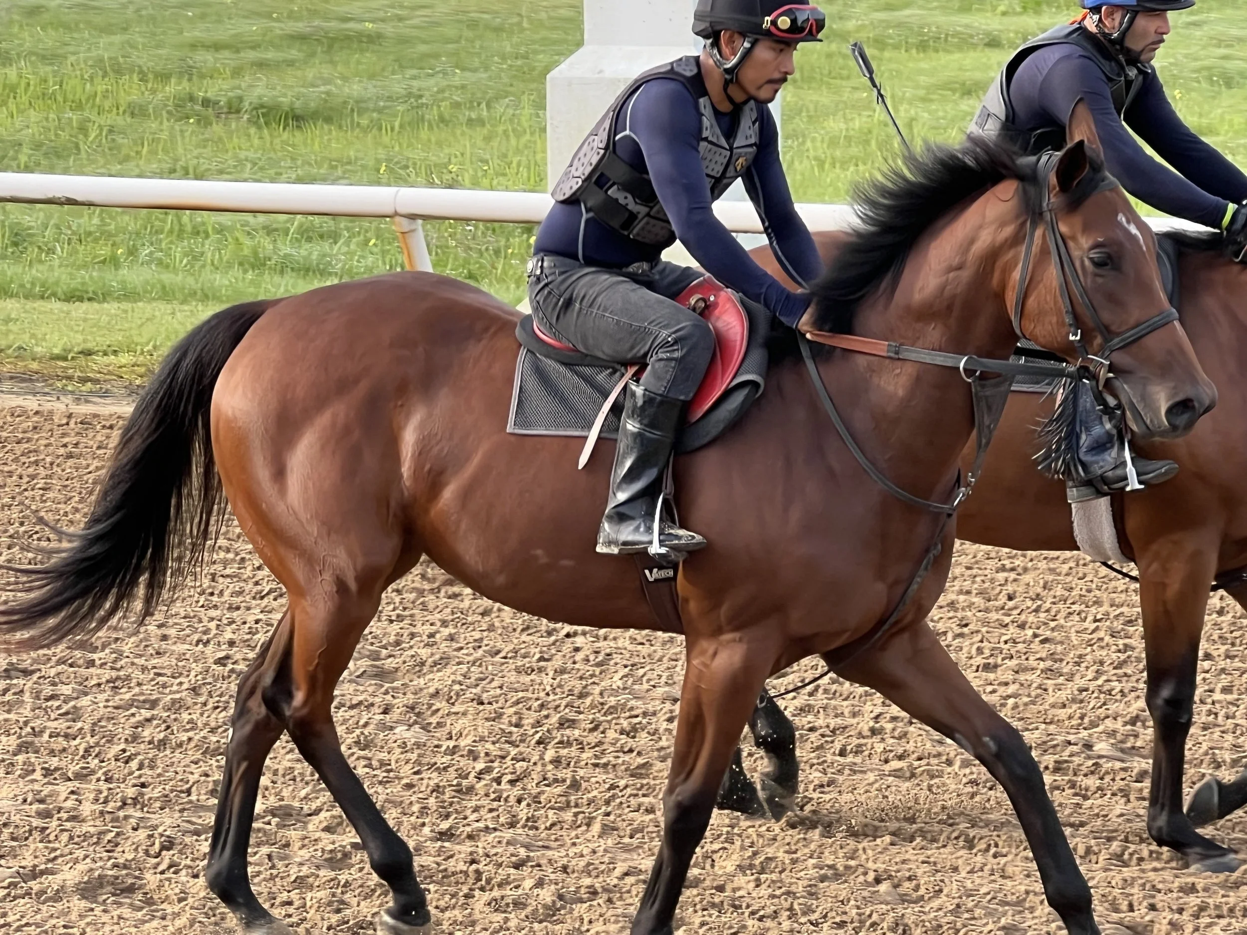 Lady Diversity May 16.jpeg