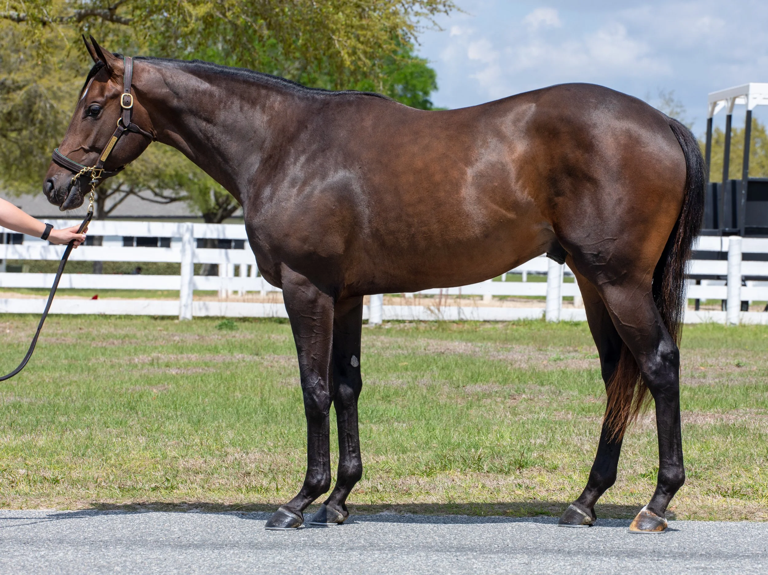 MIXIT