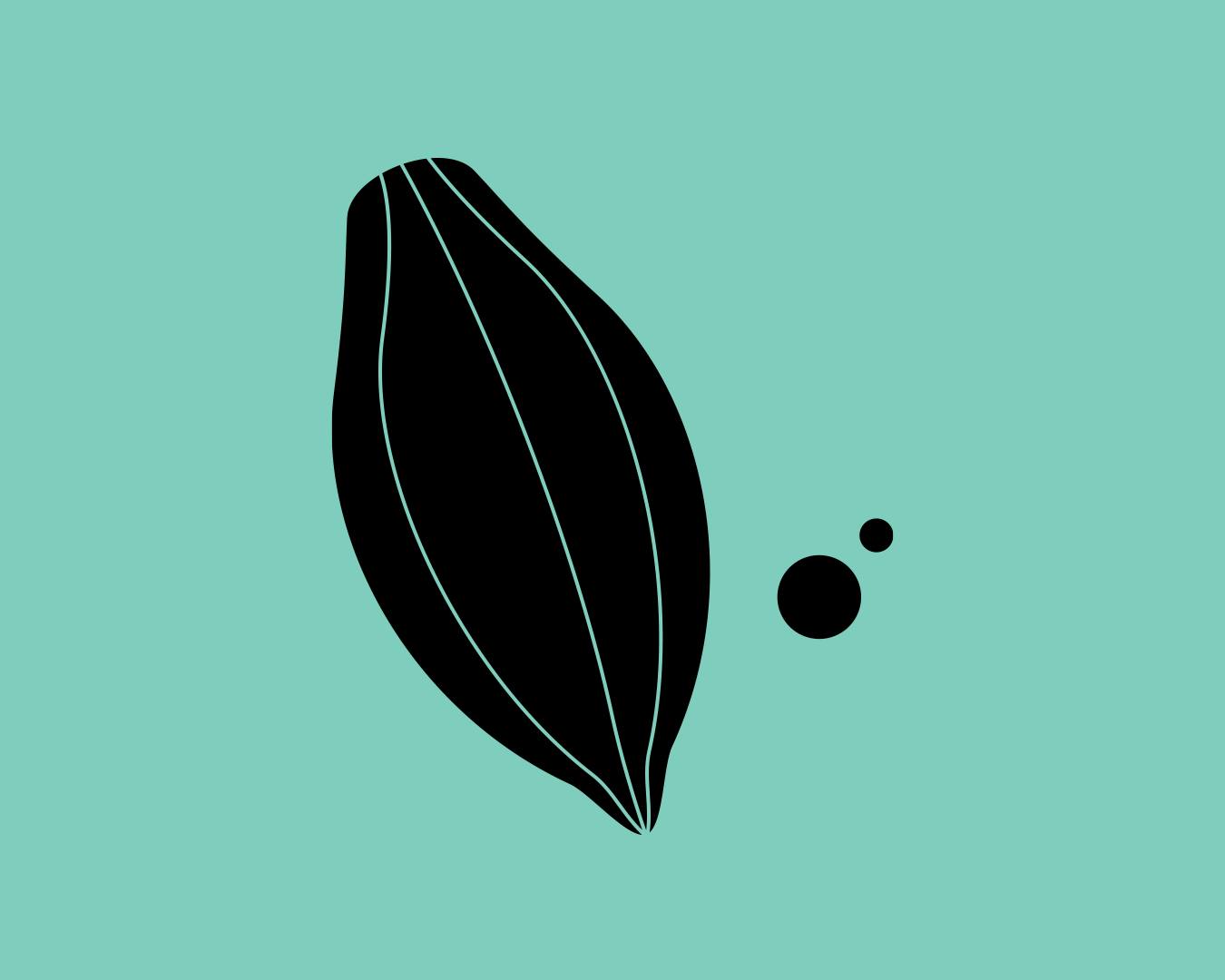 AK_website_project_LIZINVRT_6.png