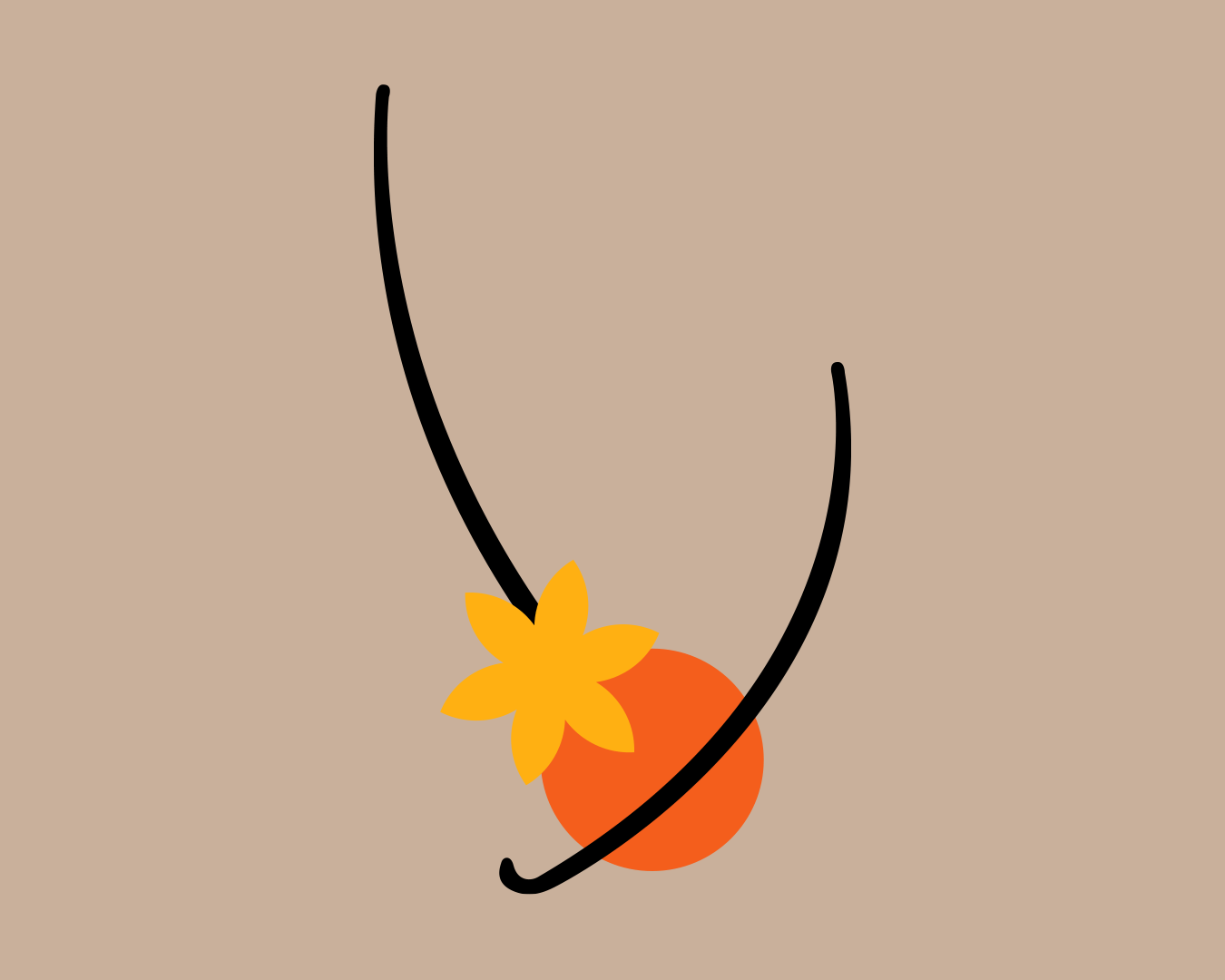 AK_website_gif_LIZINVRT_2.gif