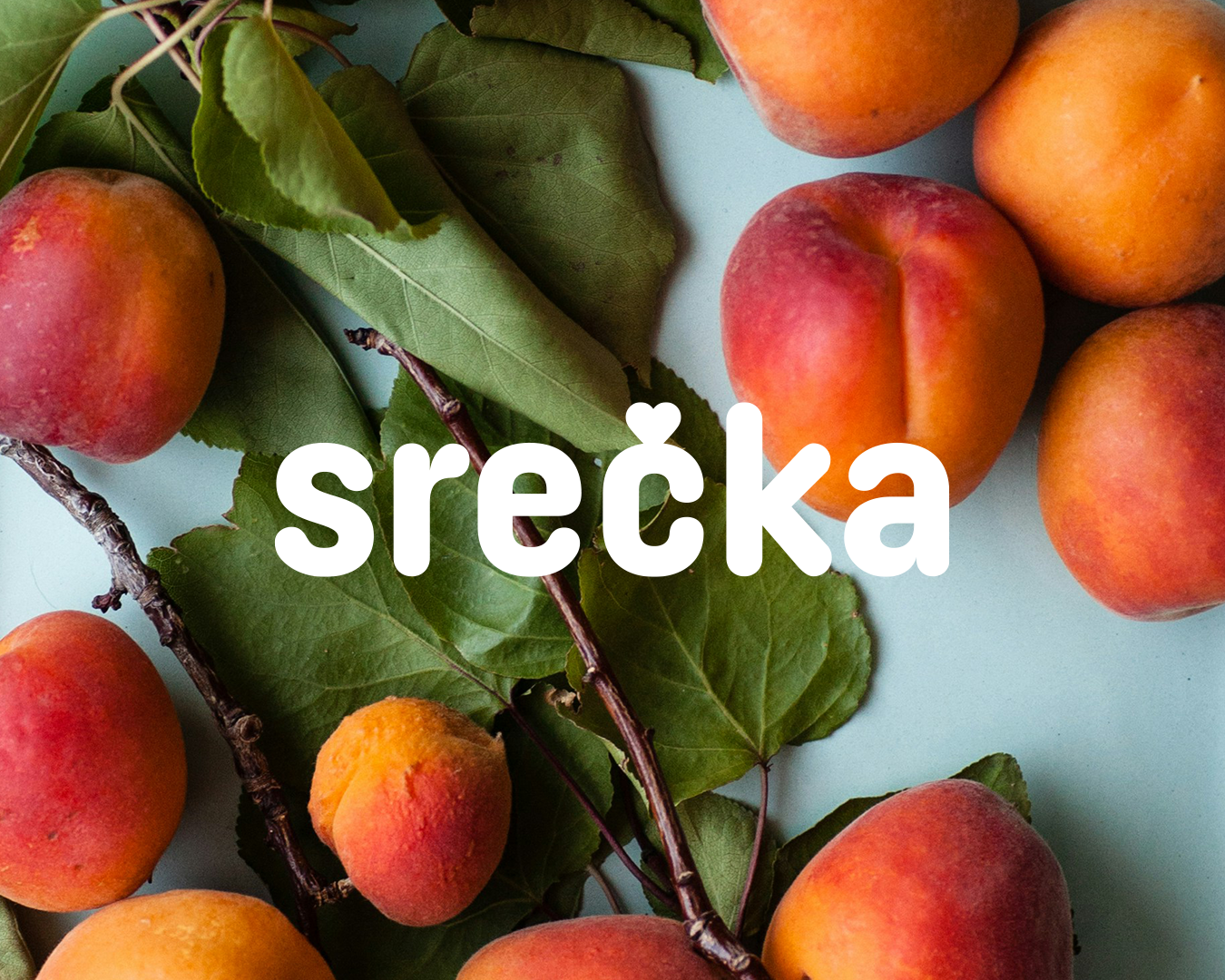 Ak_website_project_SRECKA_project_1350x1080_1.png