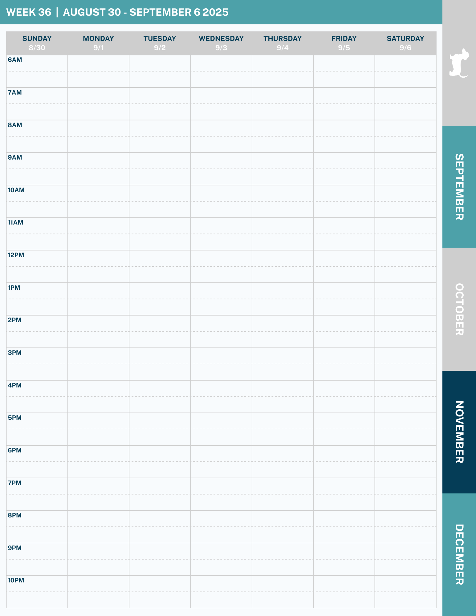 Teal Stripe Hourly Digital Planner 2025