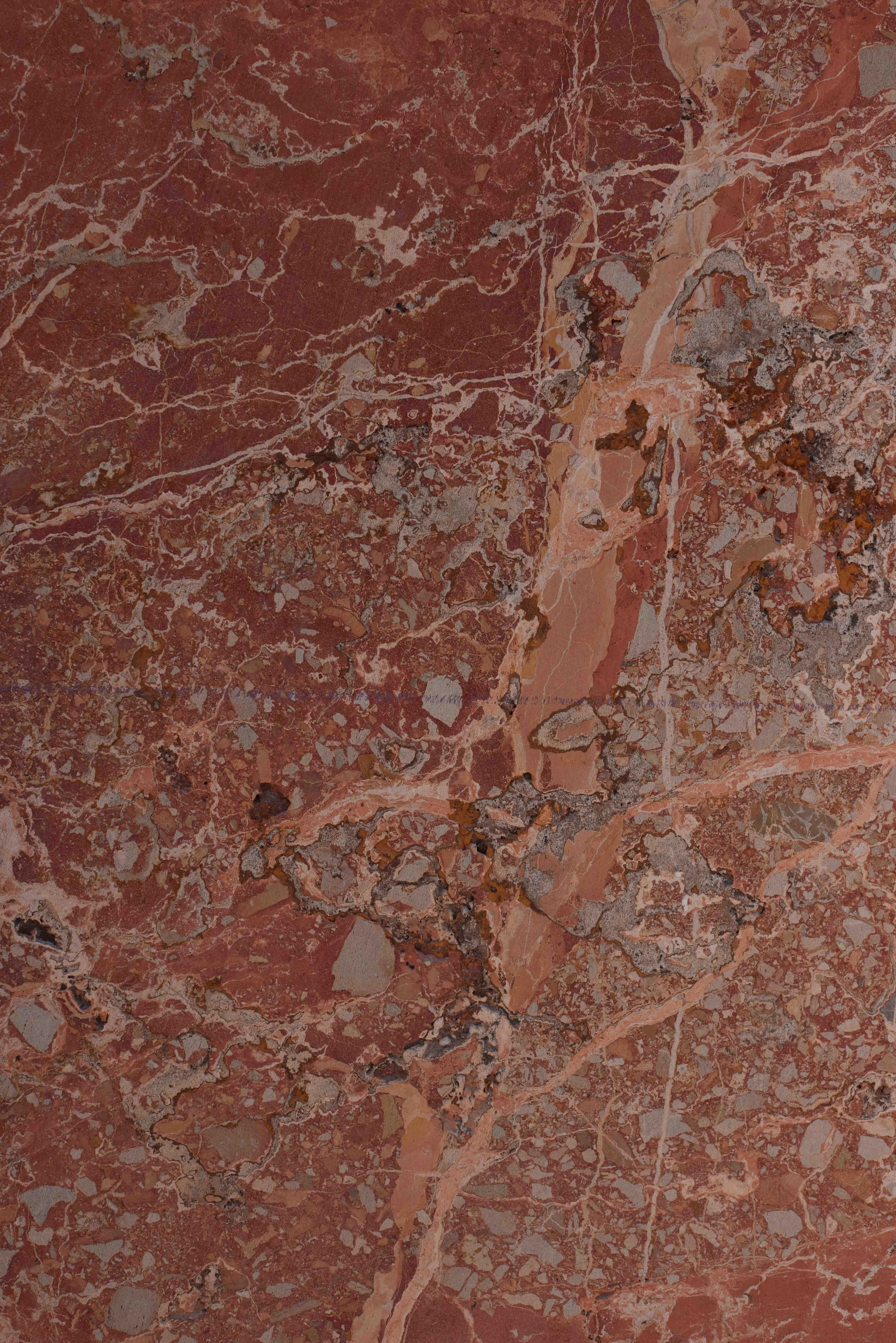 8M0A9214_NG x BRAD GOLDEN.jpg