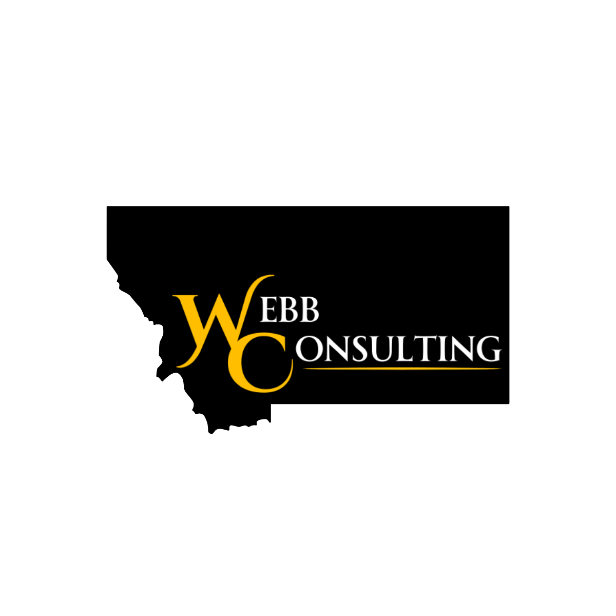 Public Adjusters in Montana: Why Webb Consulting LLC in Red Lodge is the Solution for Property Owners and Management Companies During Insurance Claims