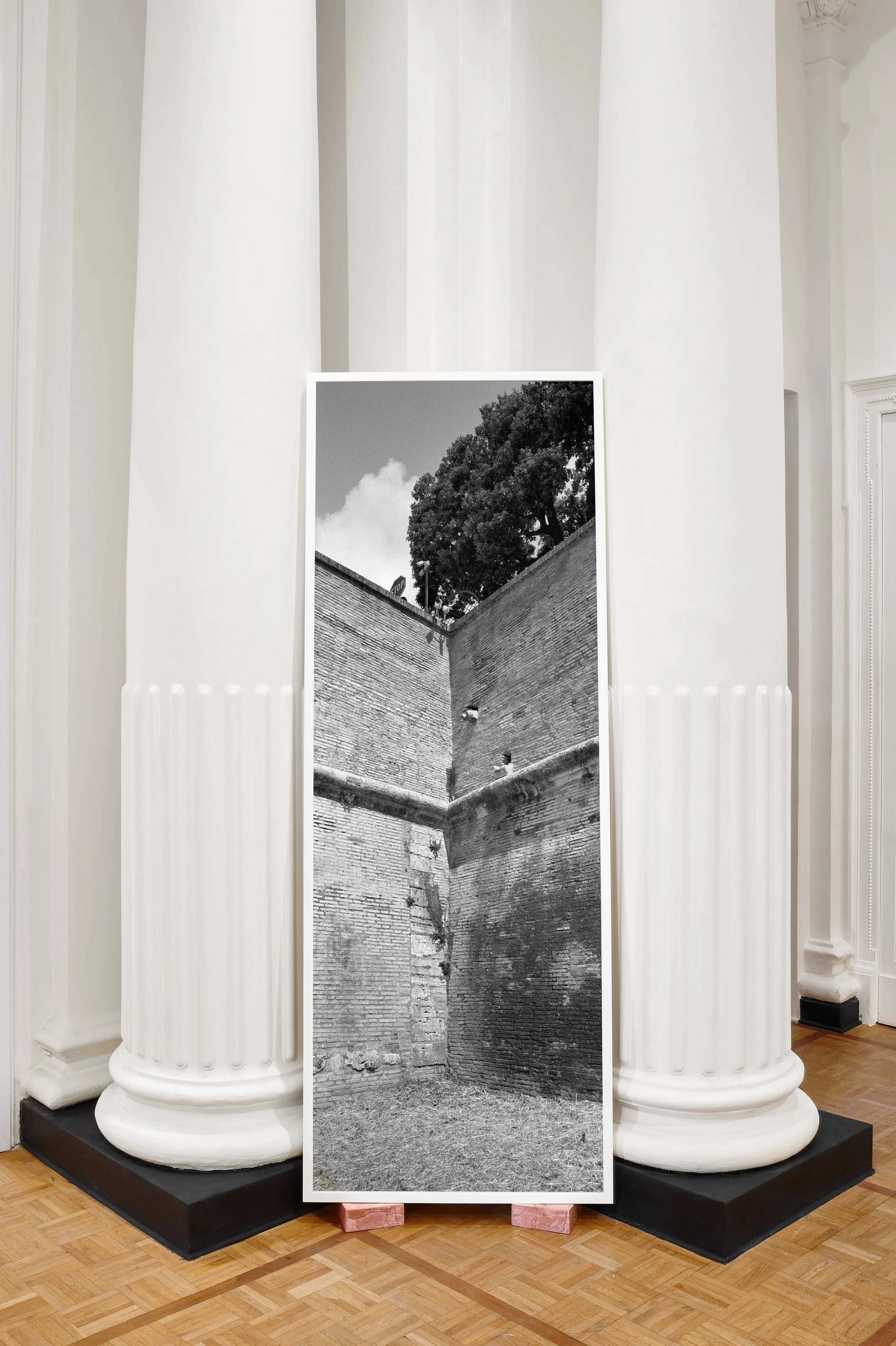 Object, Installation  Walls, Windows, & Blood
