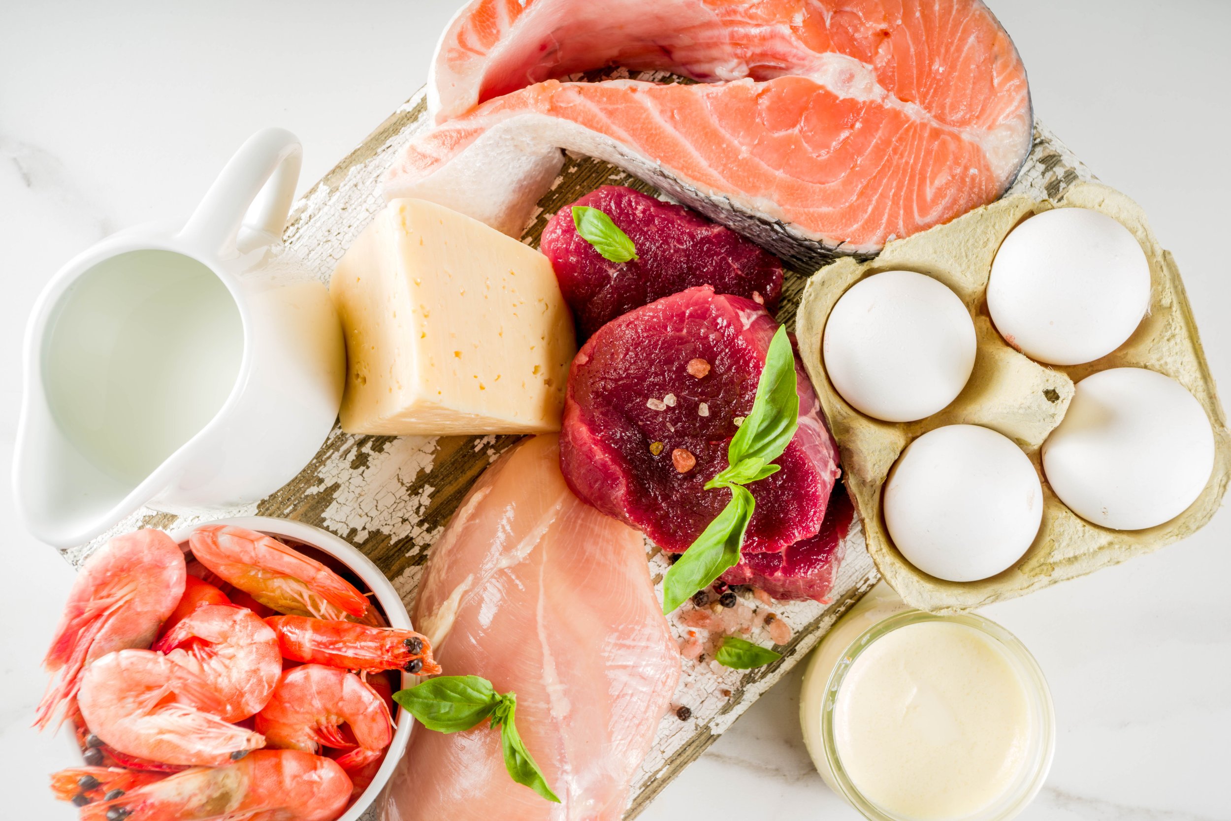 The Metabolic Problem with Excess Protein