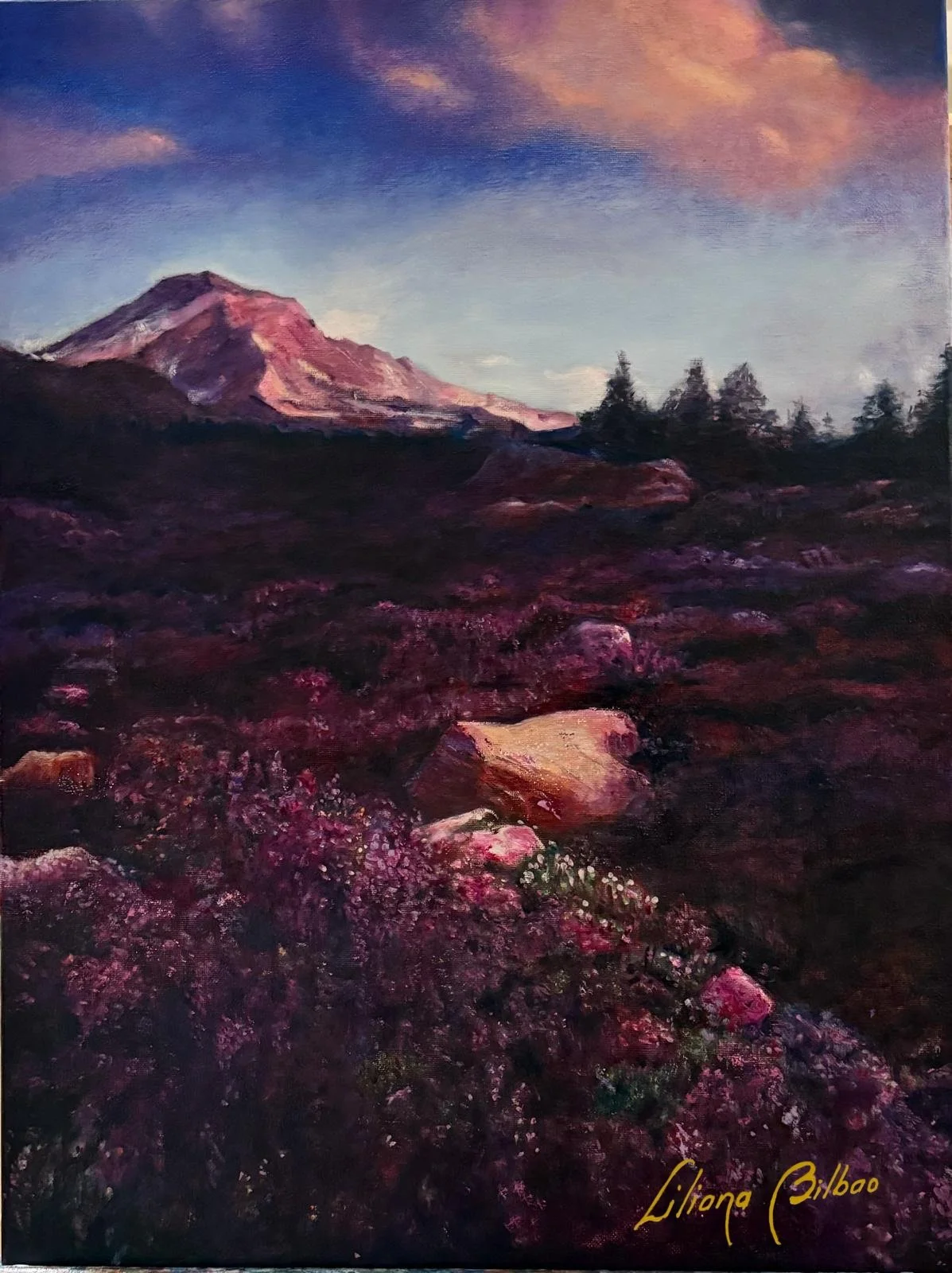 Radiante - 2024 - 20x24in



