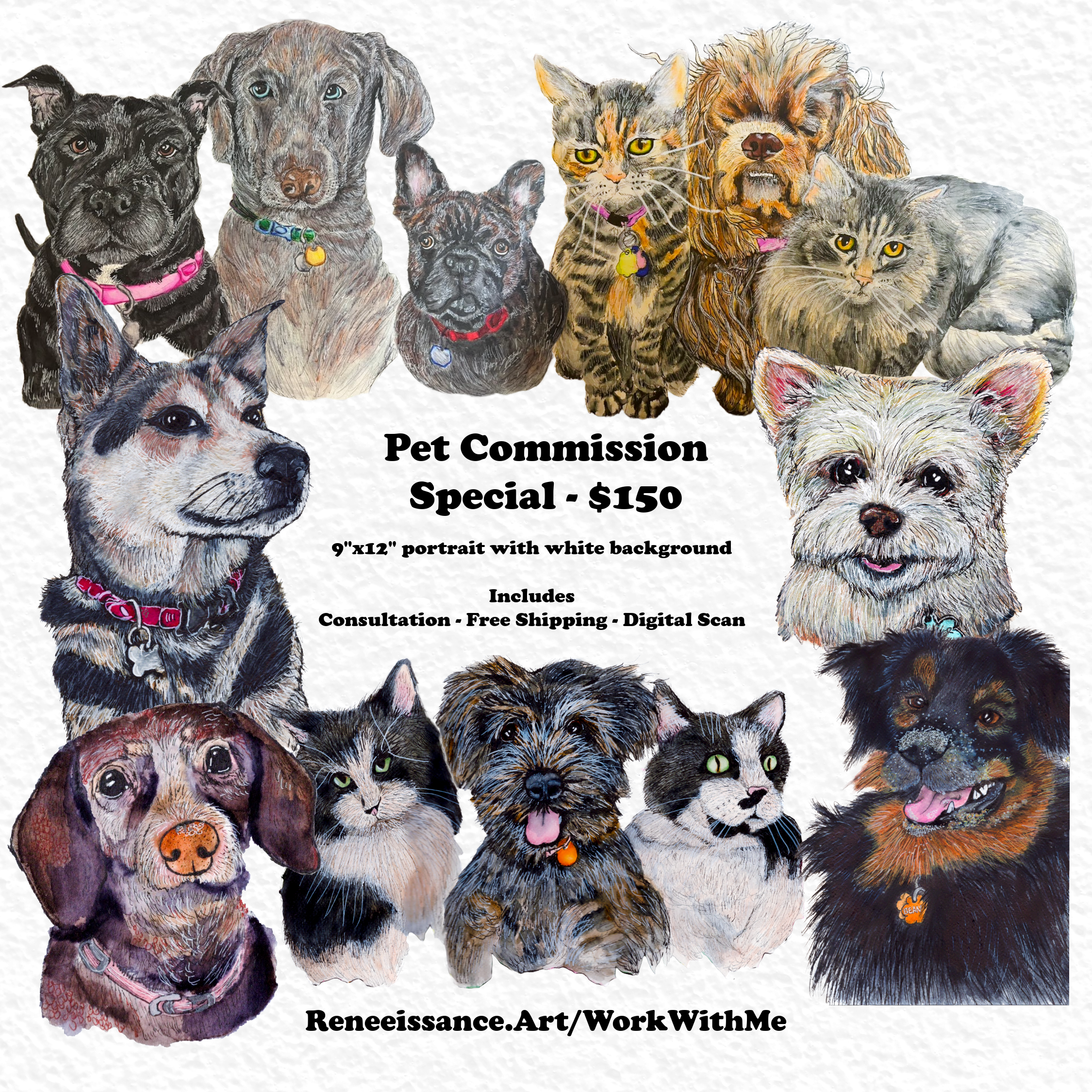 pet commission advert-2 (2).png
