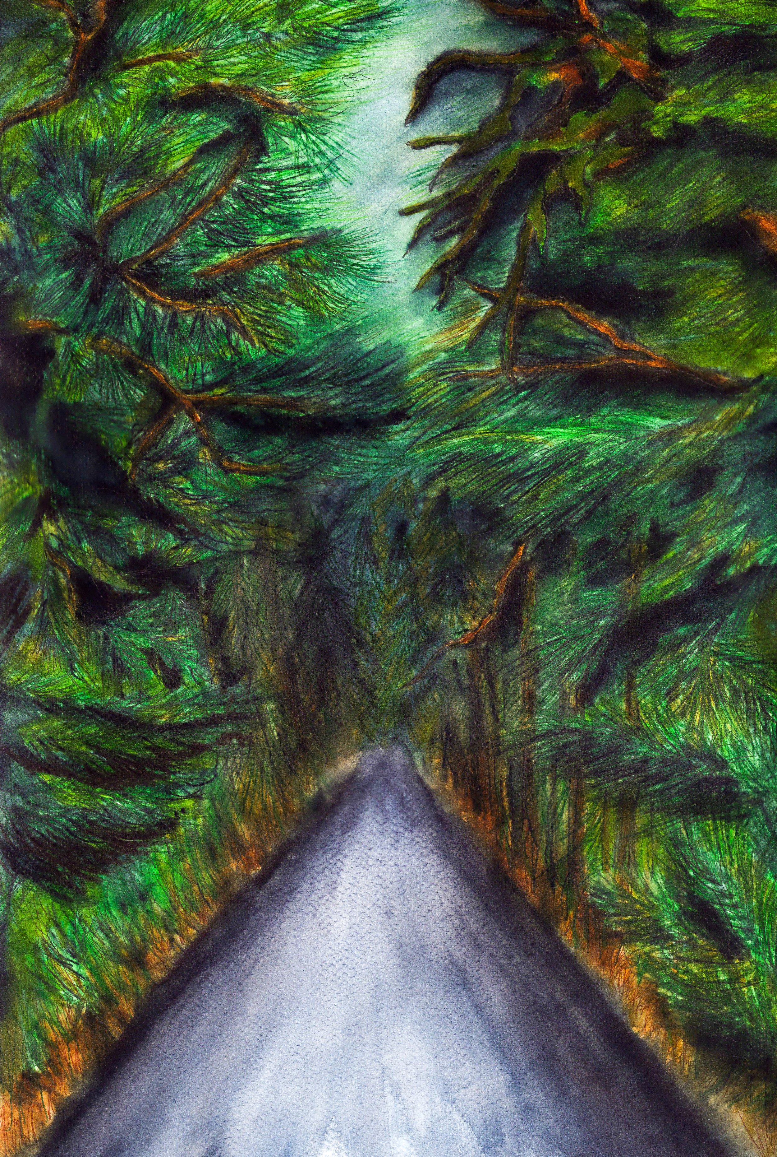 forest_edited.jpg