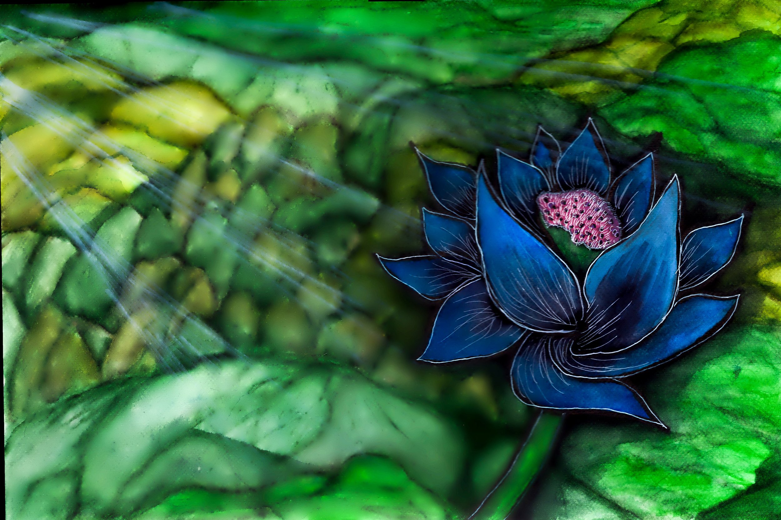Black lotus edited.jpg