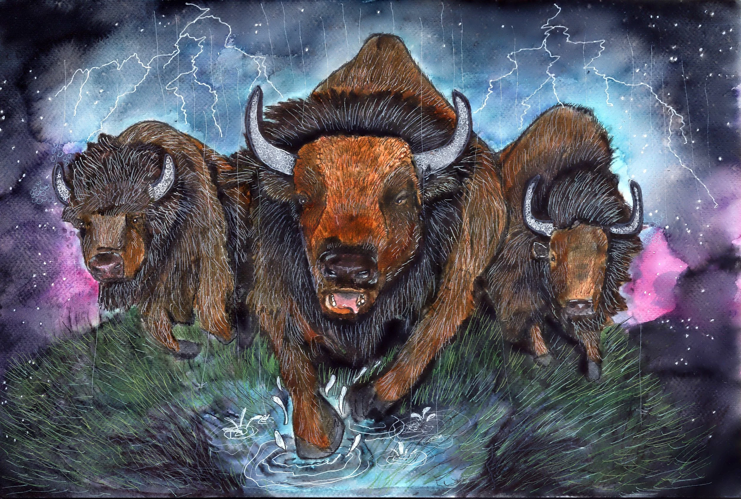 Bison_edited.jpg