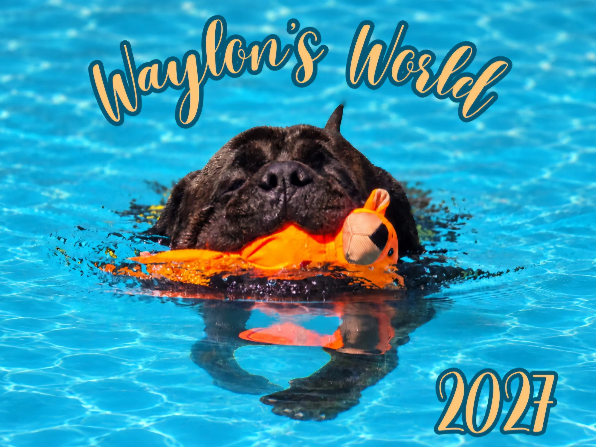 Waylon's World 2027 Calendar