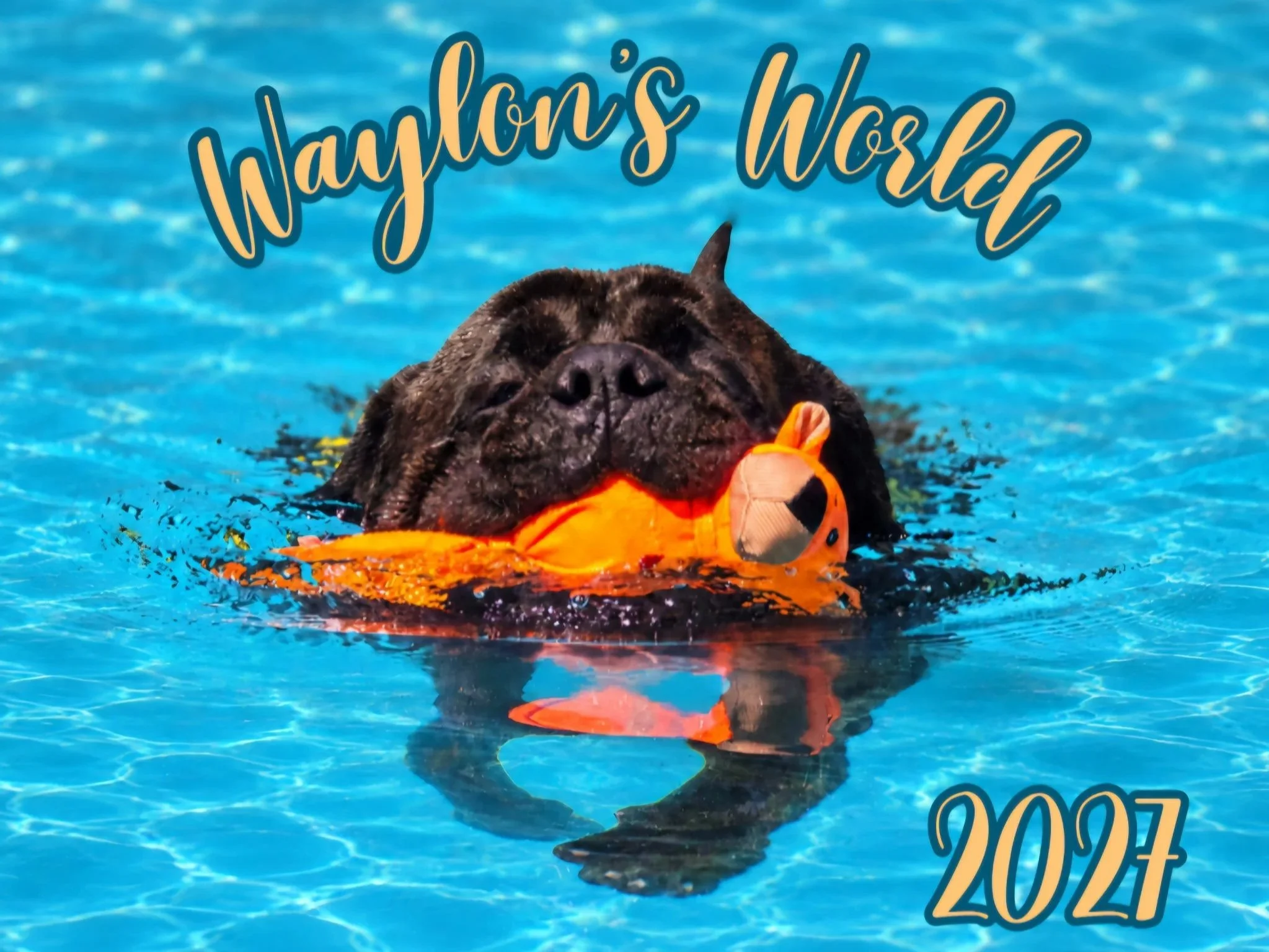 Waylons+World+2027+Cover.jpg
