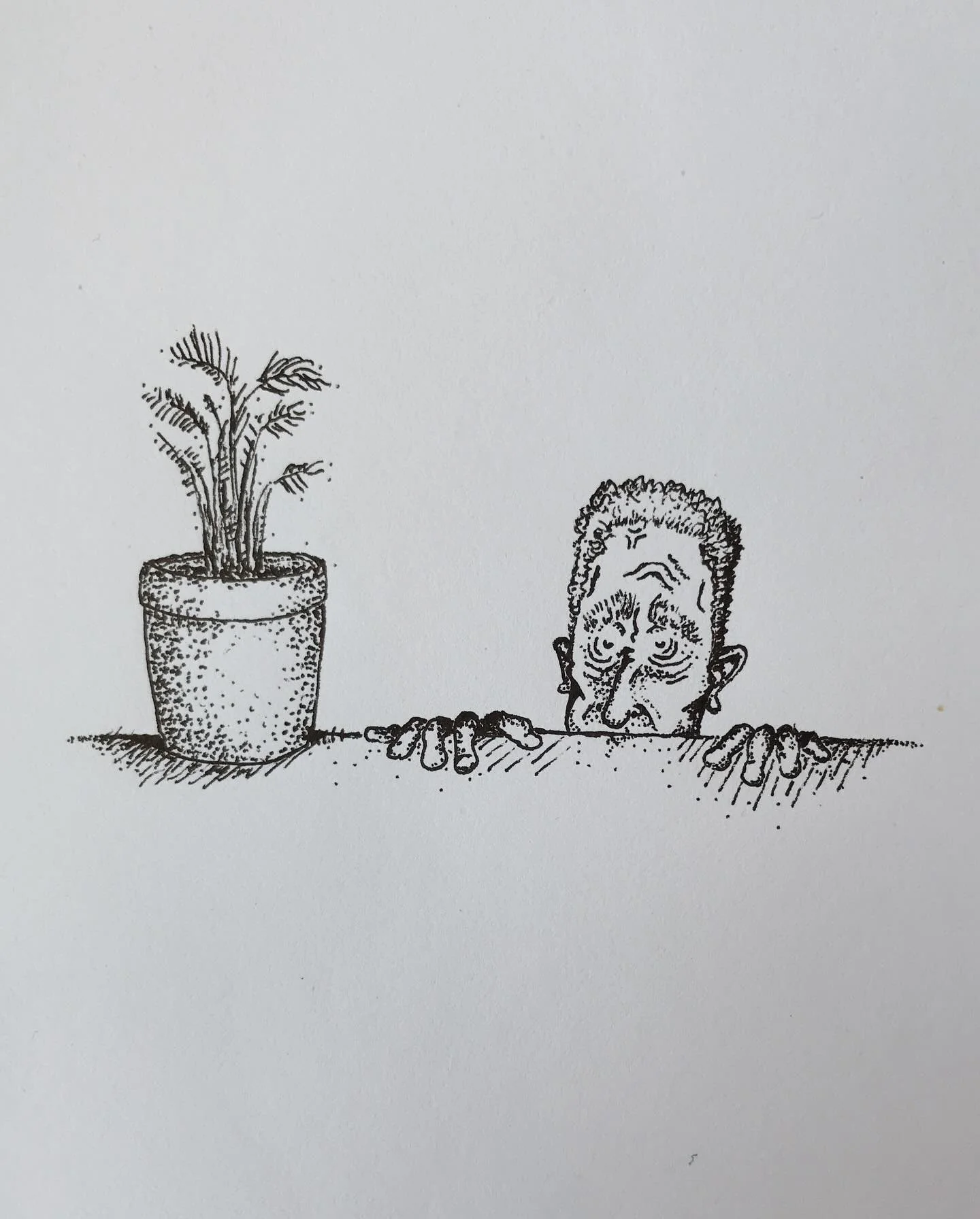 Mans is terrified of the Parlor Palm

#art #draw #pen #hashtag