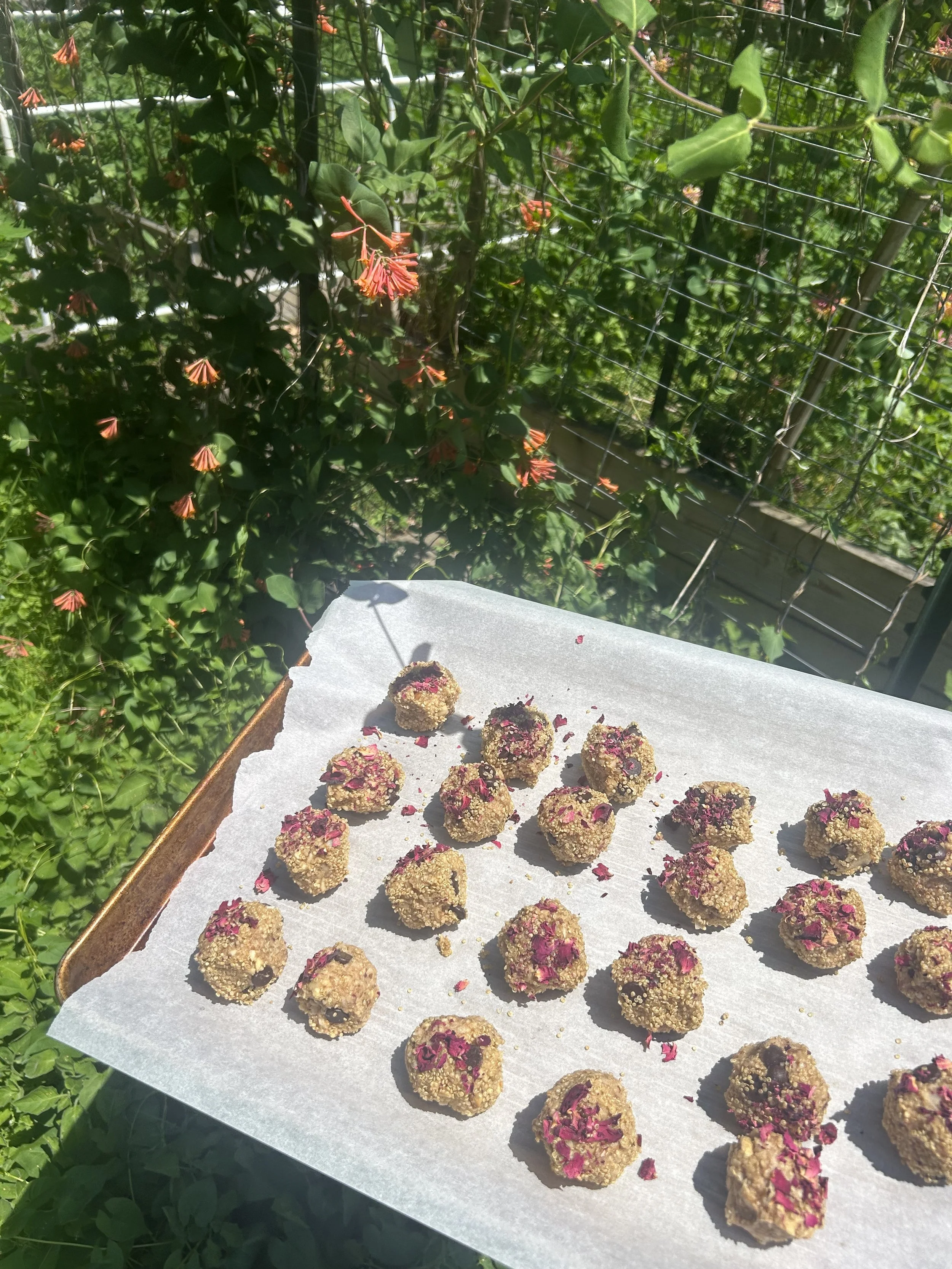Tray of round, sesame-coated treats topped with pink and purple flower petals, placed on white parchment paper outdoors, with a green leafy vine and pink flowers in the background.