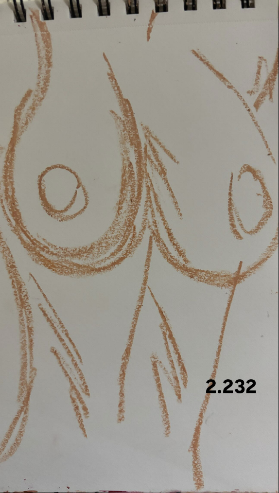 A sketch of a woman's chest with emphasis on the breasts, drawn with brown lines on white paper.