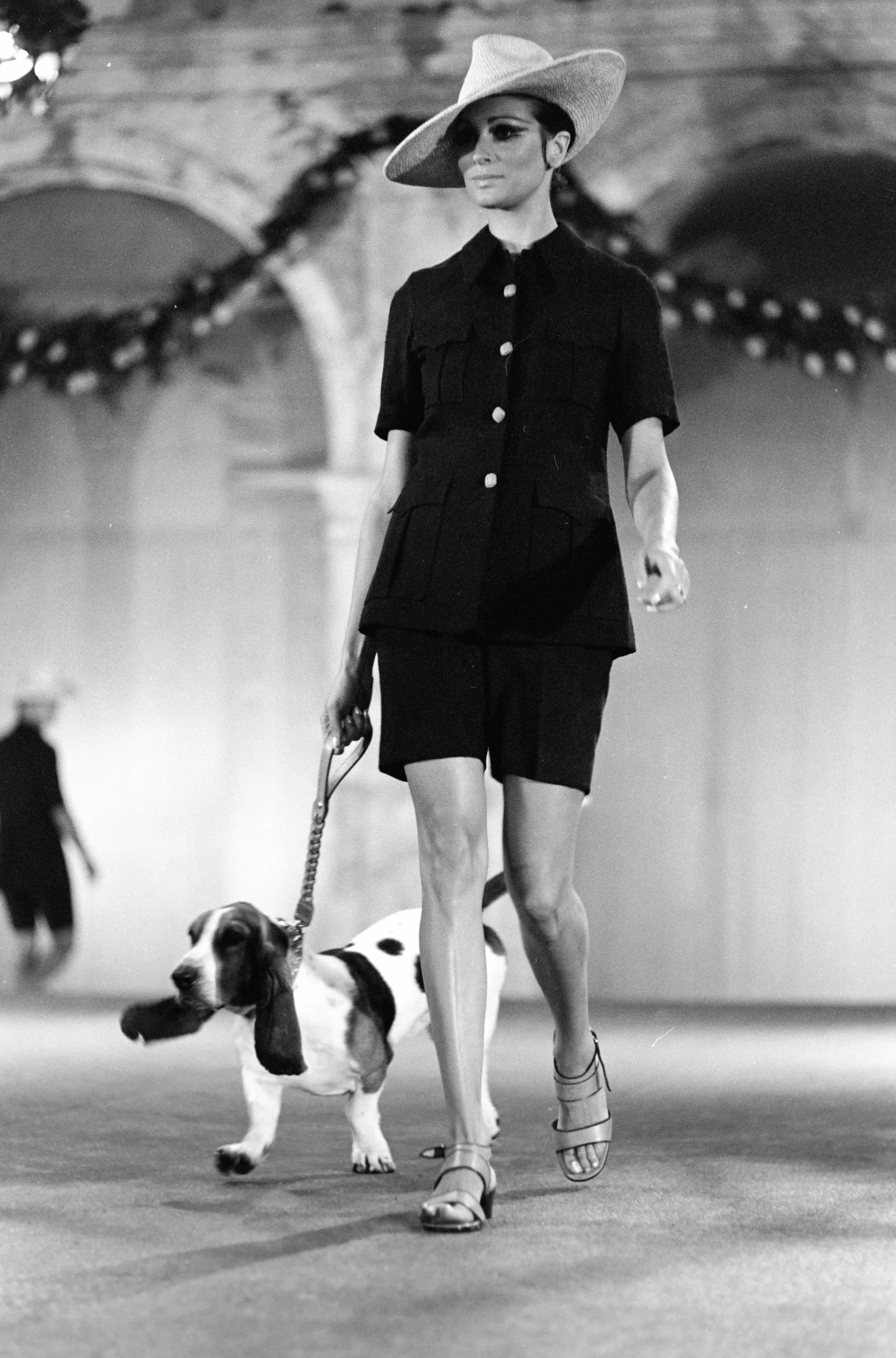 Basset Hound_Capri.jpg