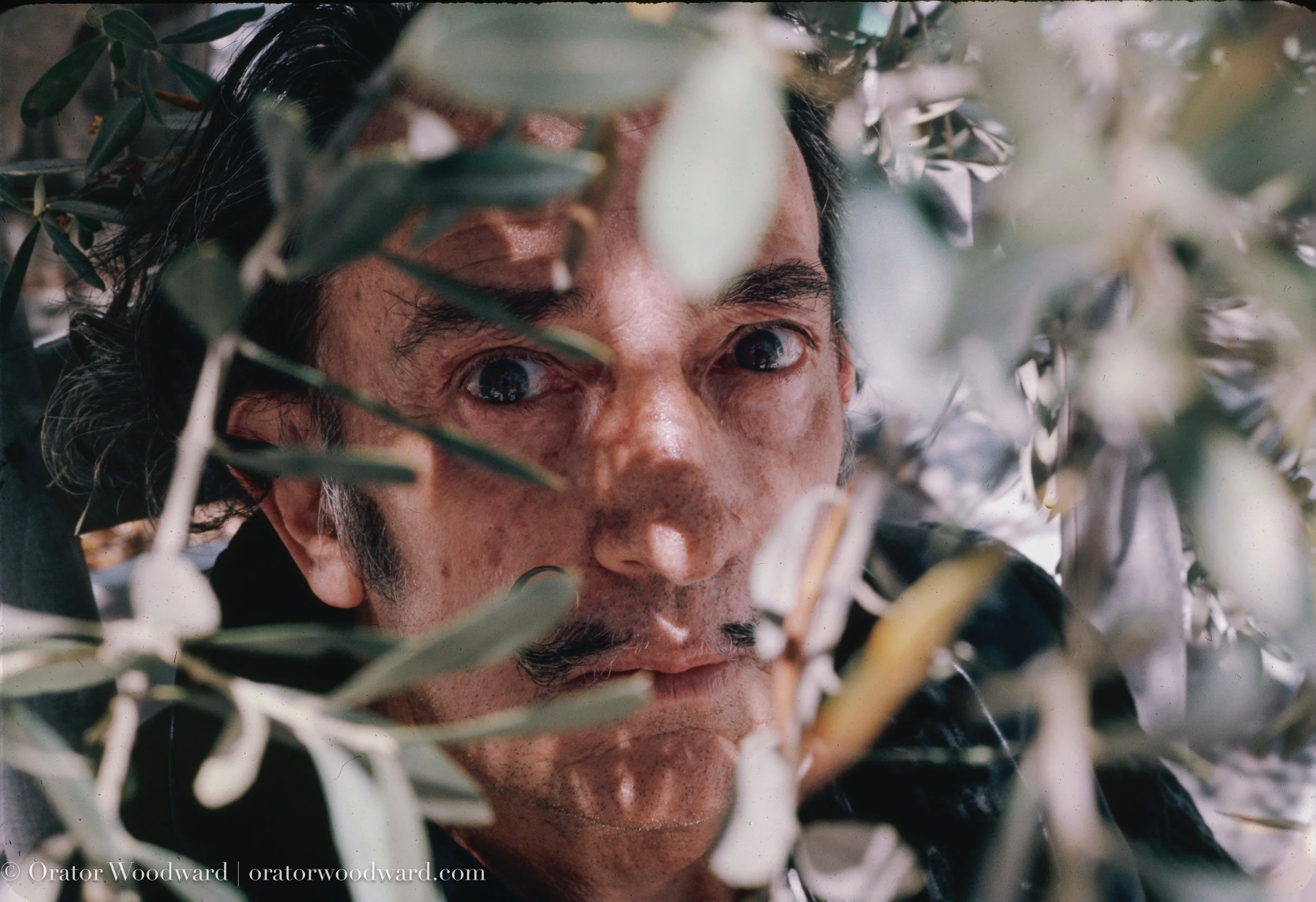 Dali at Home in Cadaques