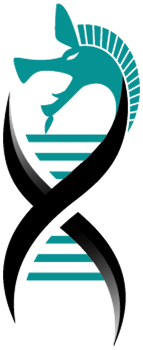 A stylized silhouette of a person holding a smartphone, with a teal and black color scheme.