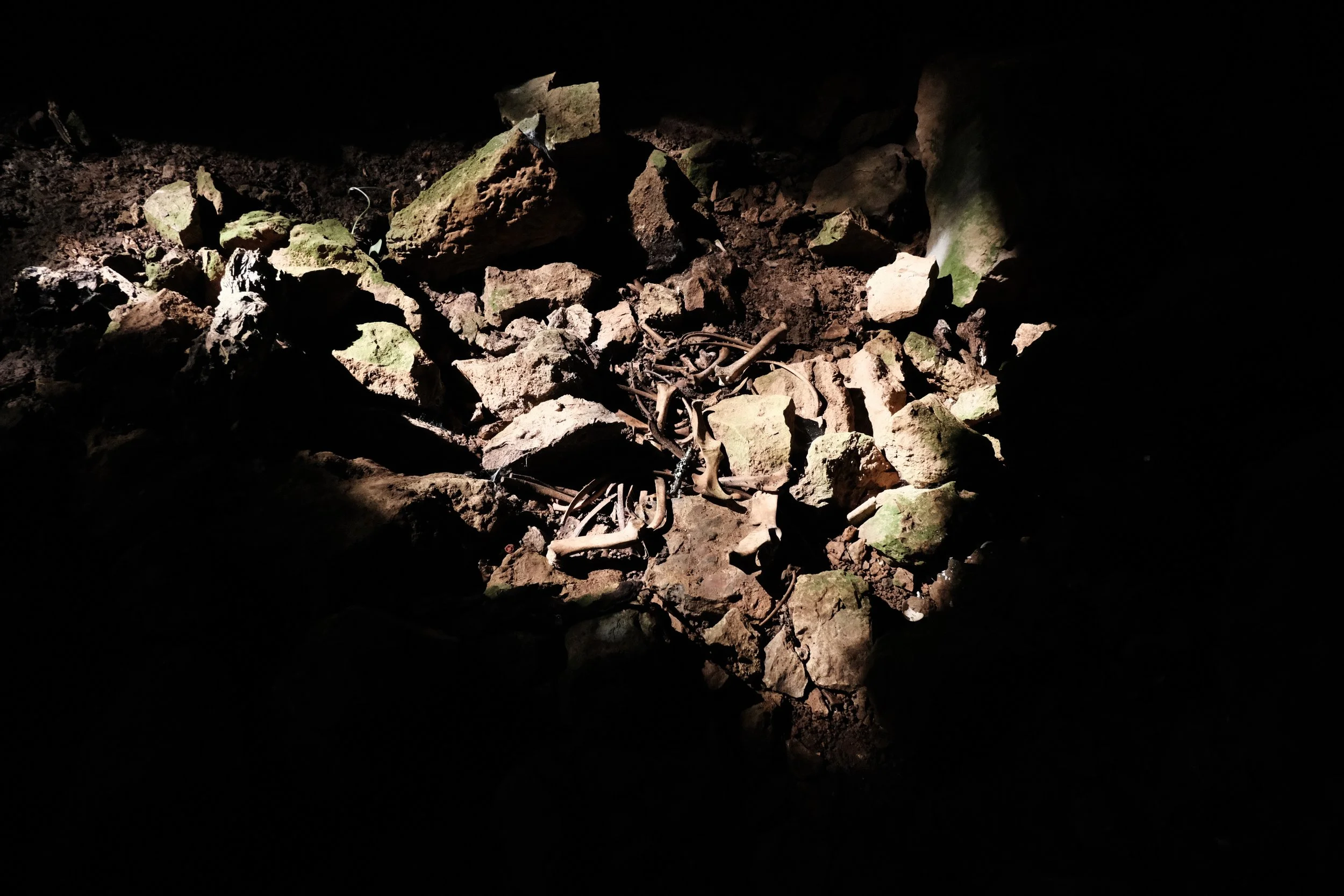 DSCF5667.JPG