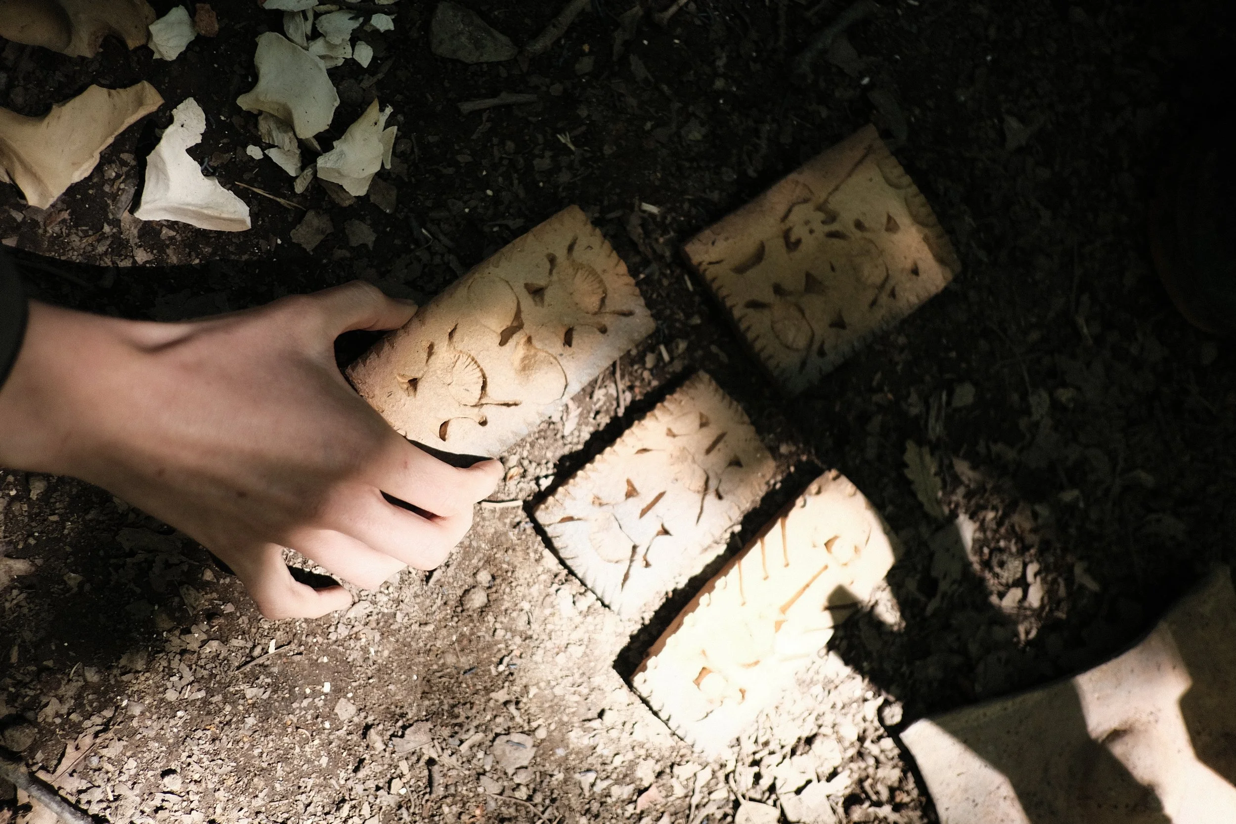 DSCF6190.JPG