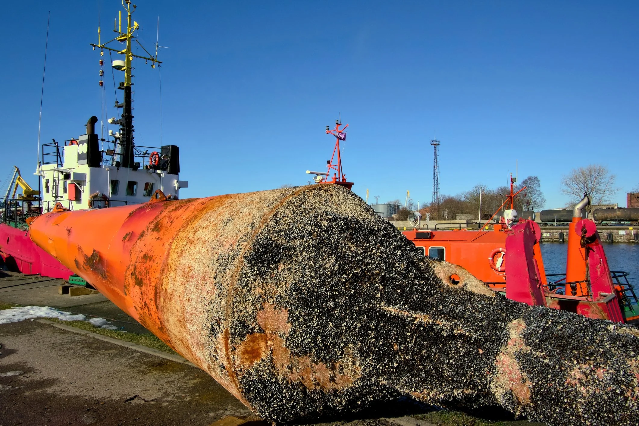 Invasive Species Risk from LNG Tanker Traffic in the Gulf of California