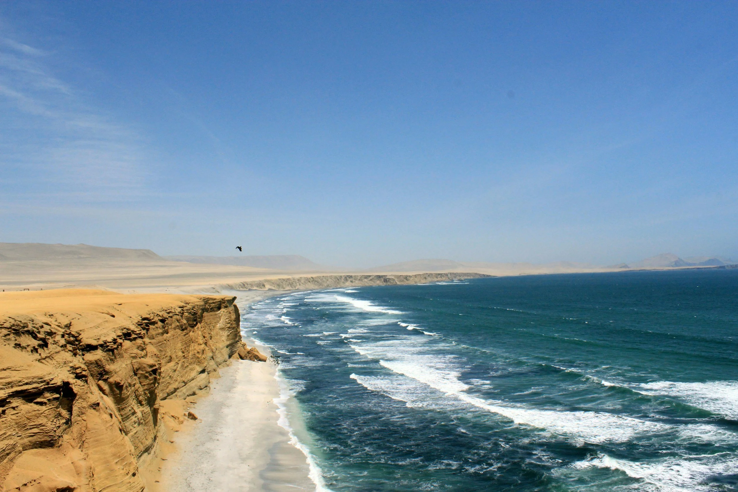 A coastal landscape featuring sandy cliffs, a sandy beach, and the ocean with waves. The sky is mostly clear with some wispy clouds, and distant mountains can be seen in the background. A bird is flying near the cliffs.